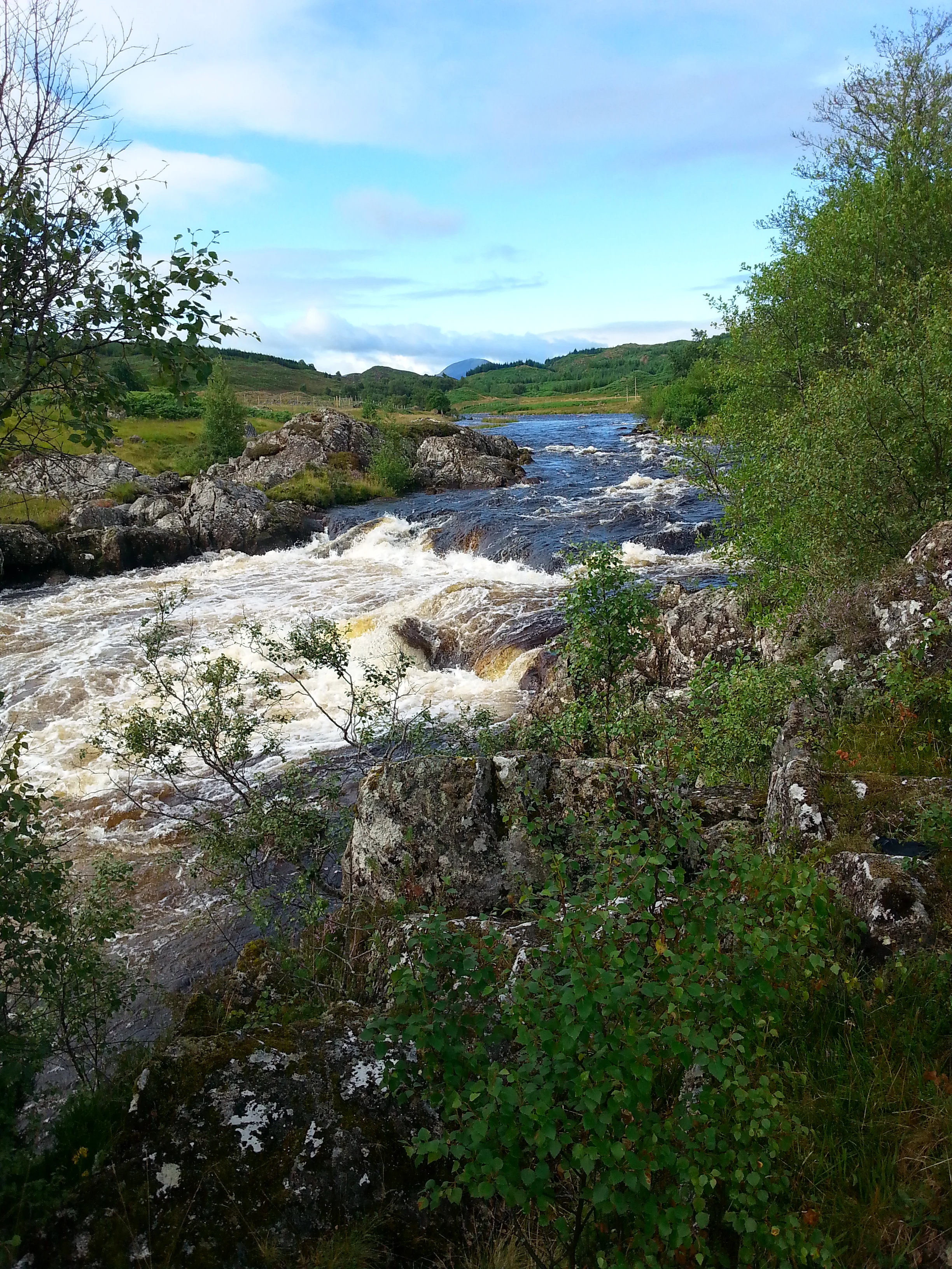 20130810_092918.jpg