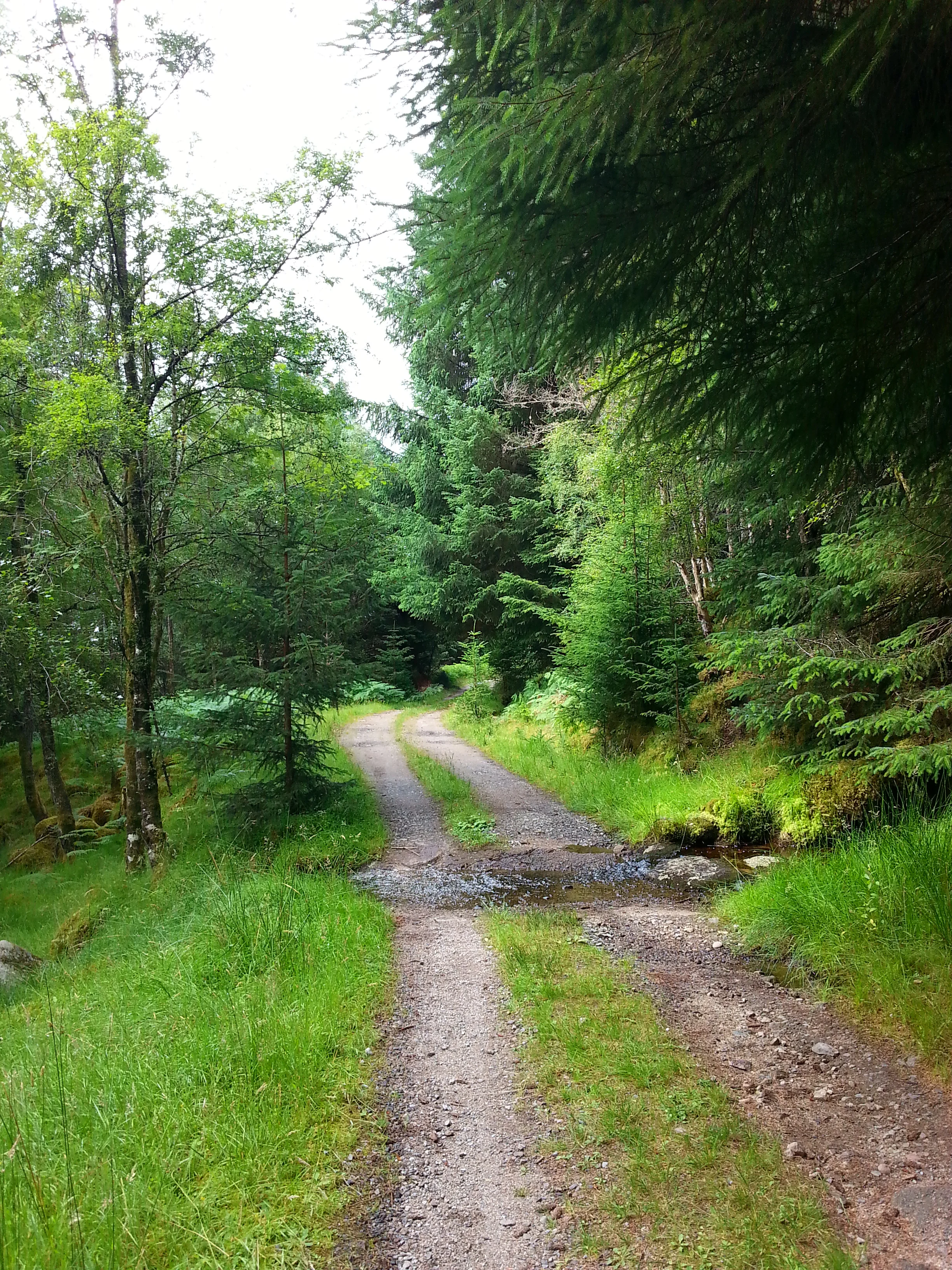 20130810_110344.jpg
