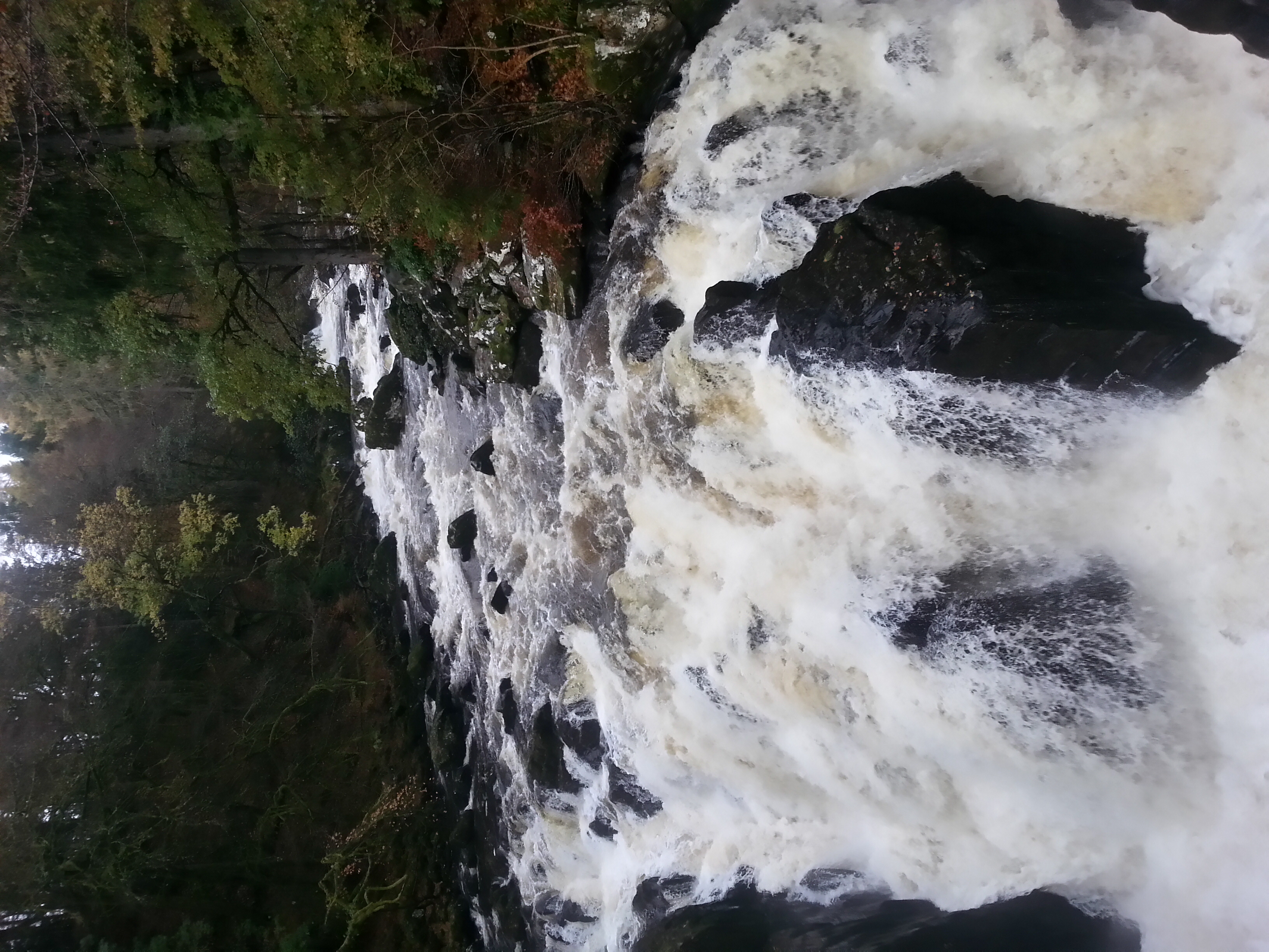 20131108_093405_LLS[1].jpg