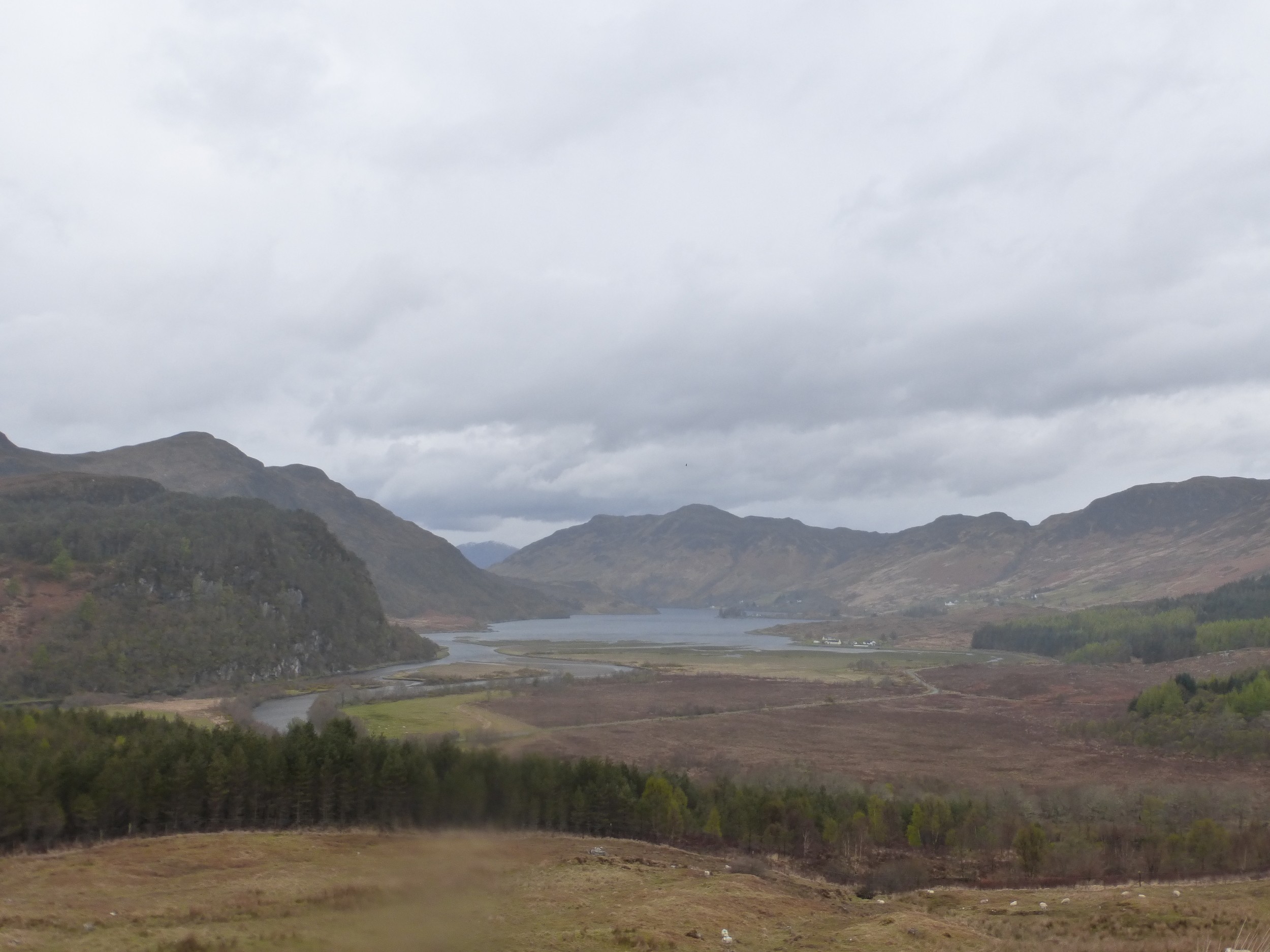 One of the few good views on Day 3. This is the head of Loch Long near to Killilan