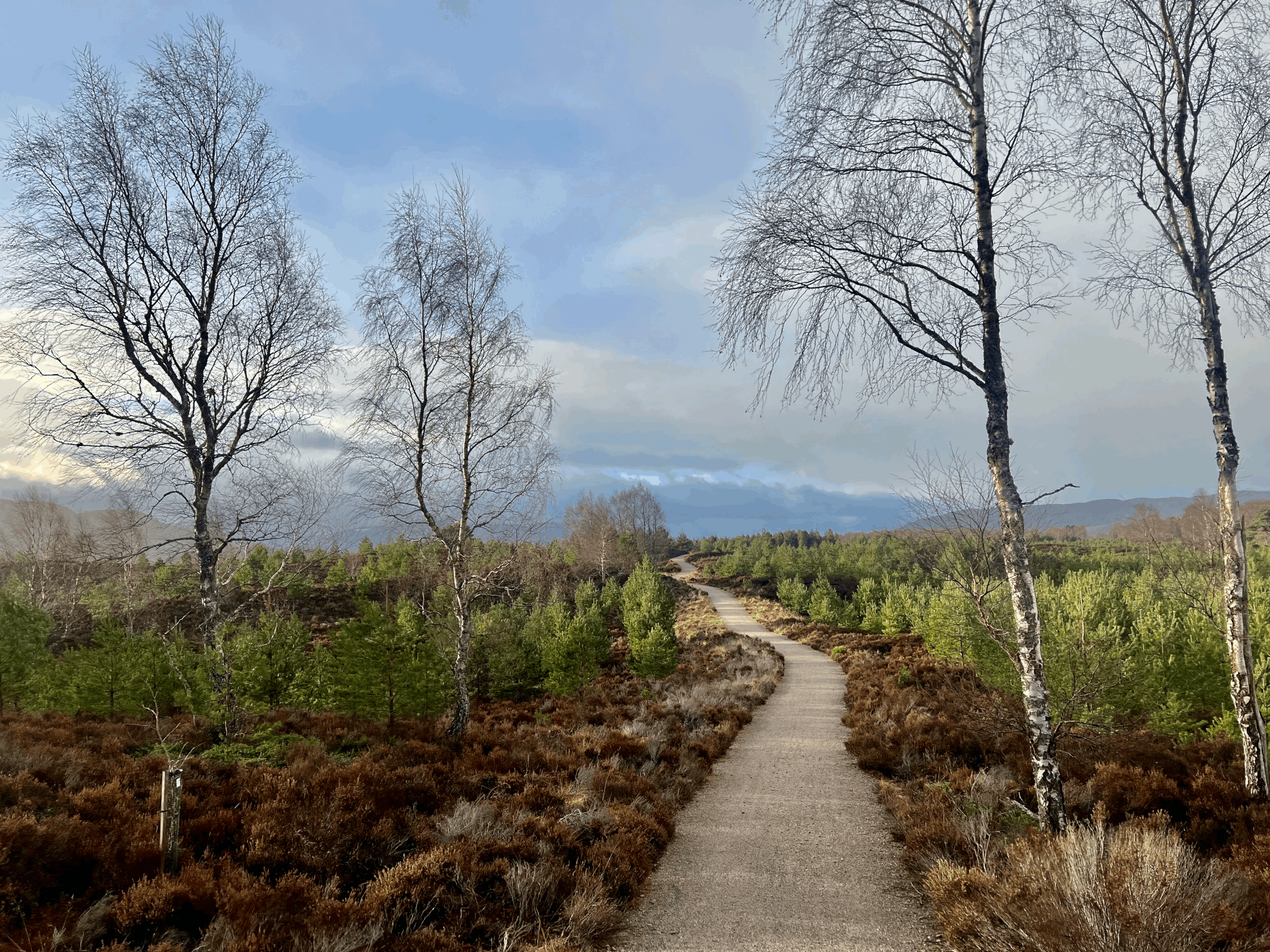 The Speyside Way