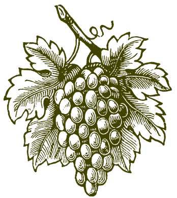 lamaisonfrancaise-img-vindruvor-444400.png