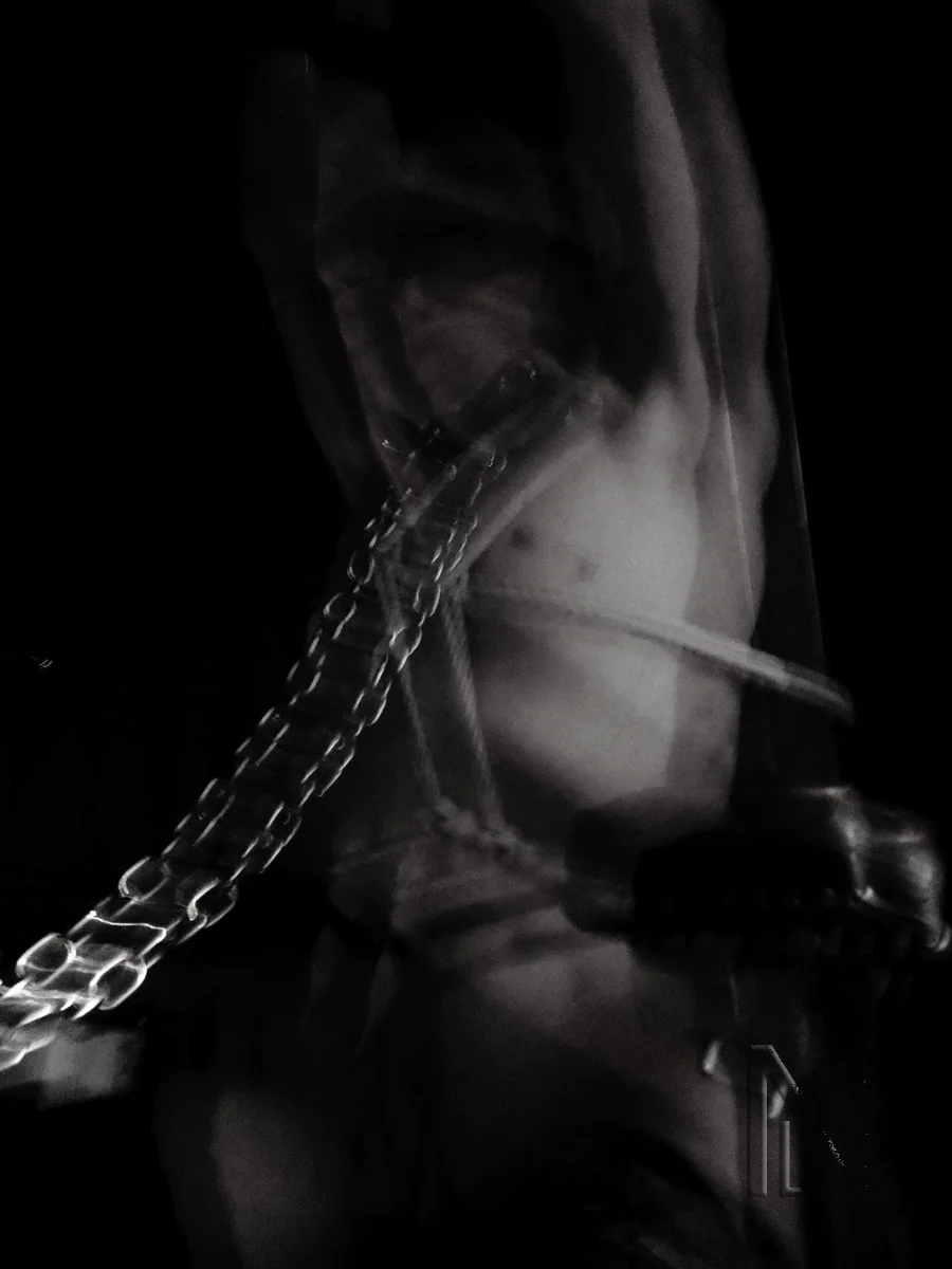  Suspended Animation by Nuit d'Or ©2012