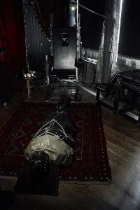 femdompaintoy_may2018_13.jpg