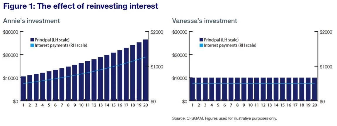 fig 1 - Compounding.jpg