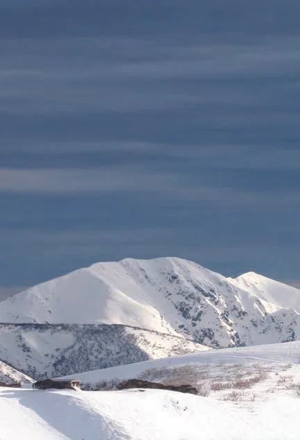 The private equity opportunity: public companies are only the tip of the iceberg