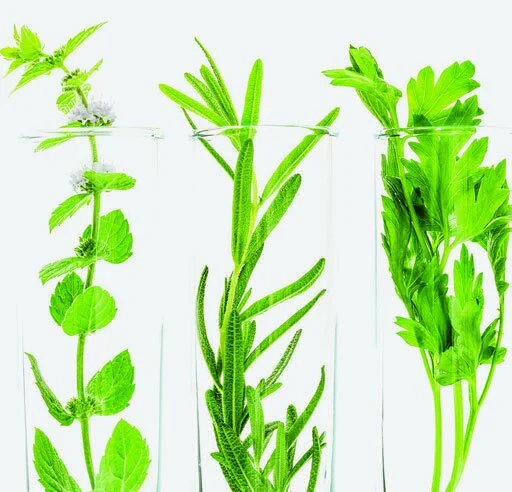 Investment strategies for your super