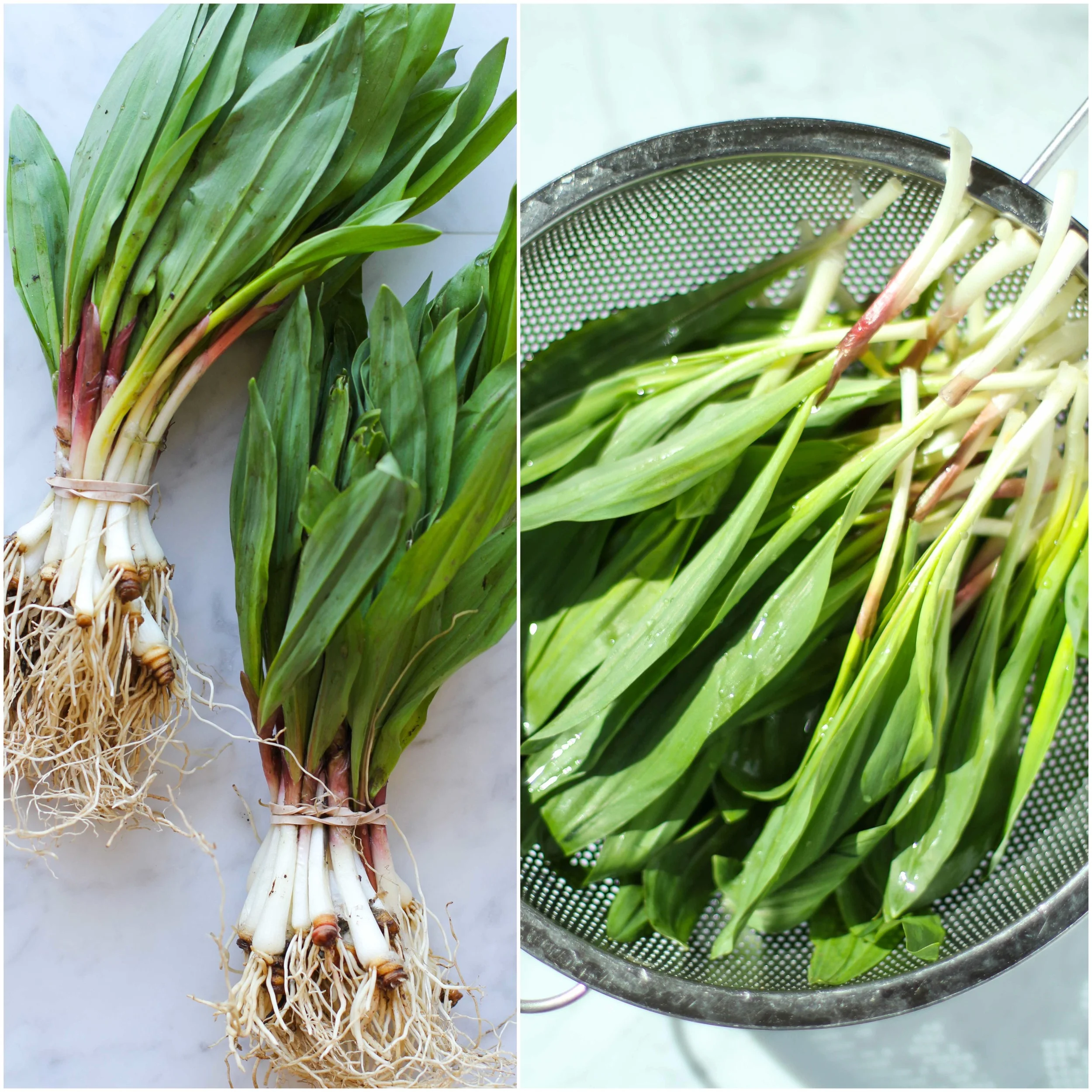 Ramps on Toast with Poached Egg & Ajvar — Veggies & Gin