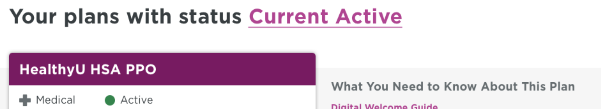 Fig. 10: An excerpt of the UI that was a focus of our testing. Would people know to select “Current Active” to switch between past, present, and future plans?