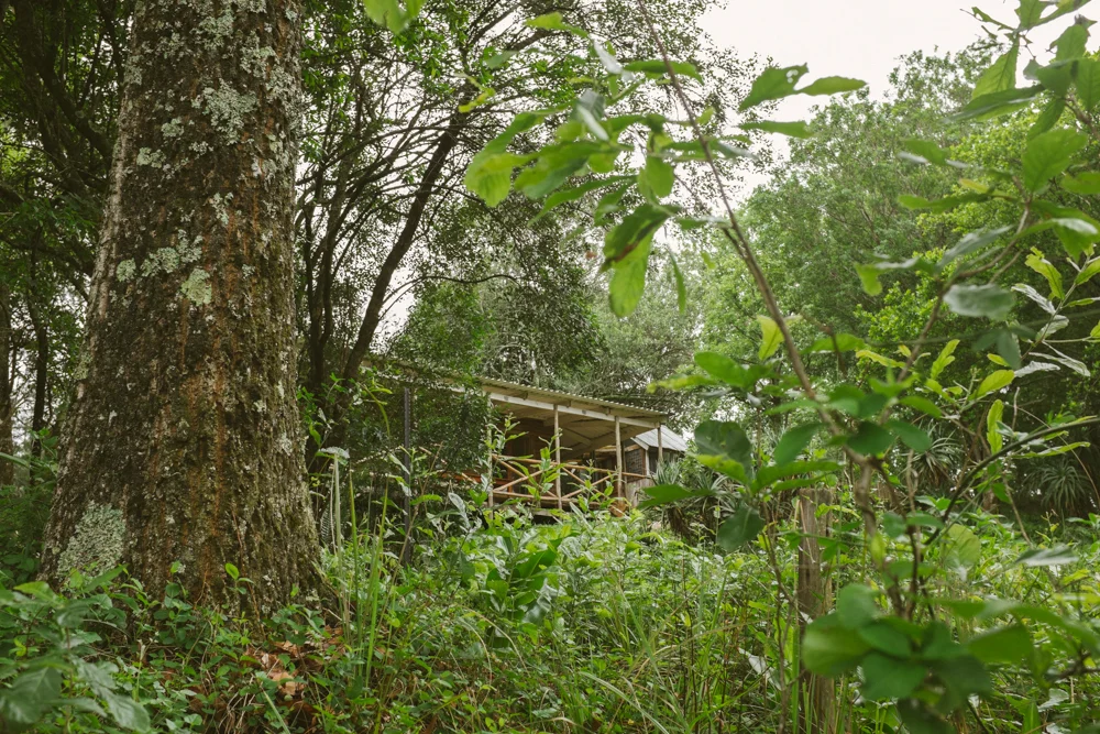 Old Pine Cabin Dylan Web-18.jpg