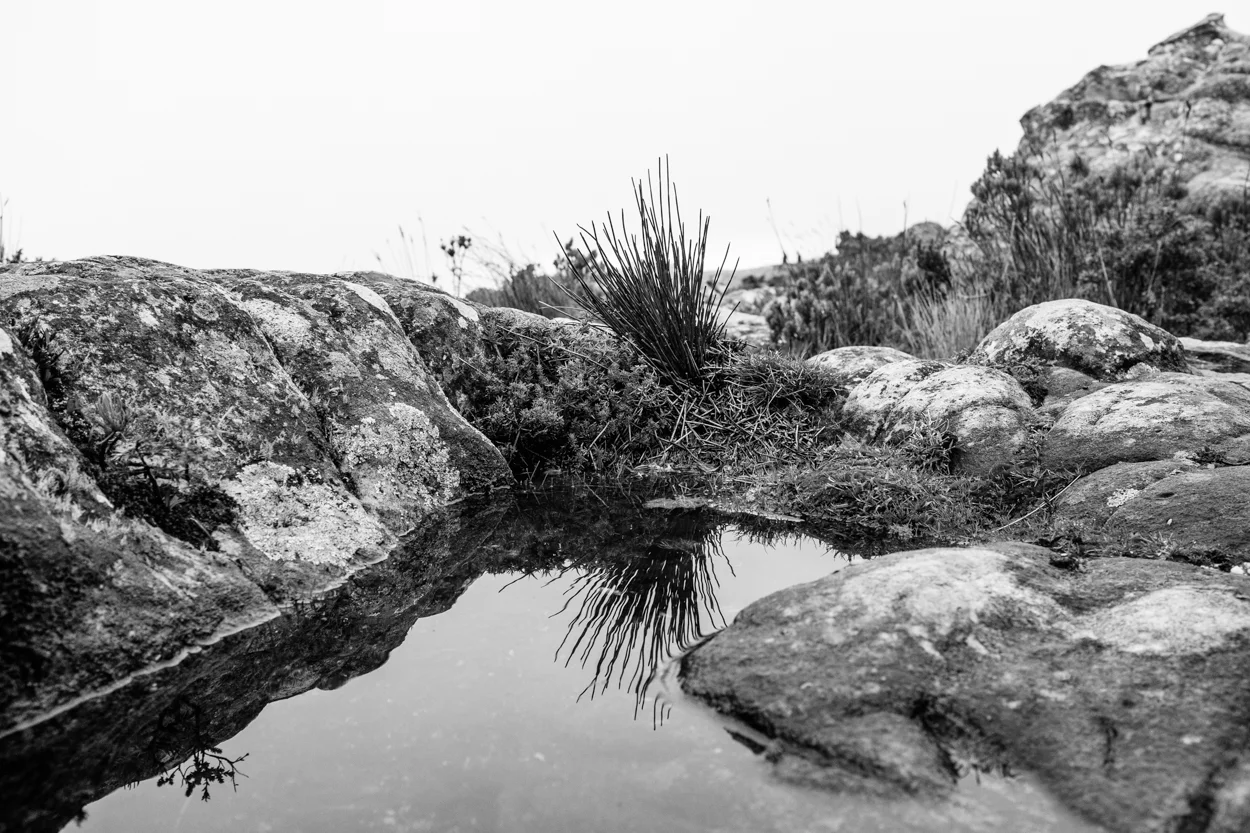 Road Trip & Safari Web-34.jpg