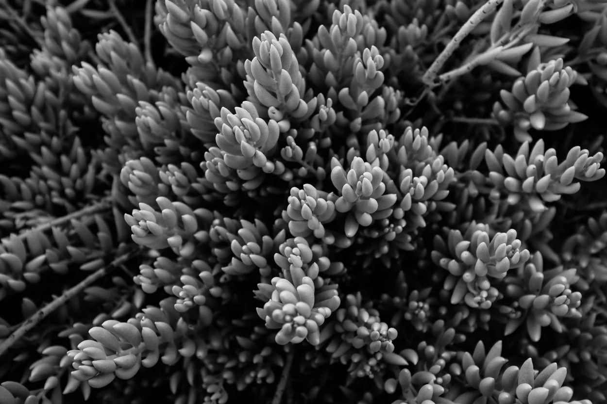 Road Trip & Safari Web-96.jpg