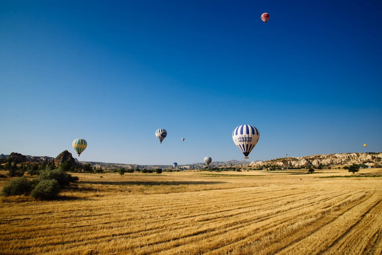 Turkey Web-315.jpg