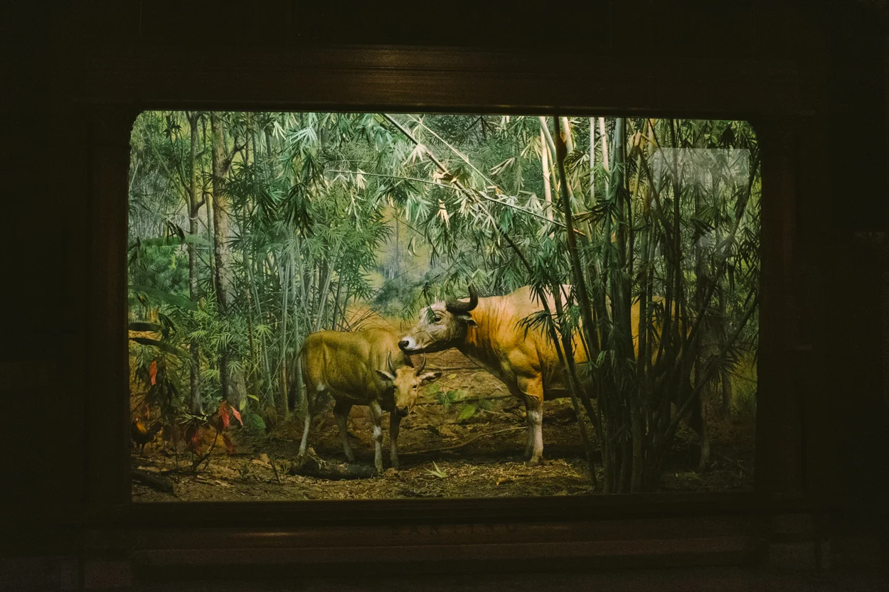 New York 2014 Web-74.jpg