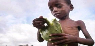 Some children in southern Madagascar only have cactus to eat