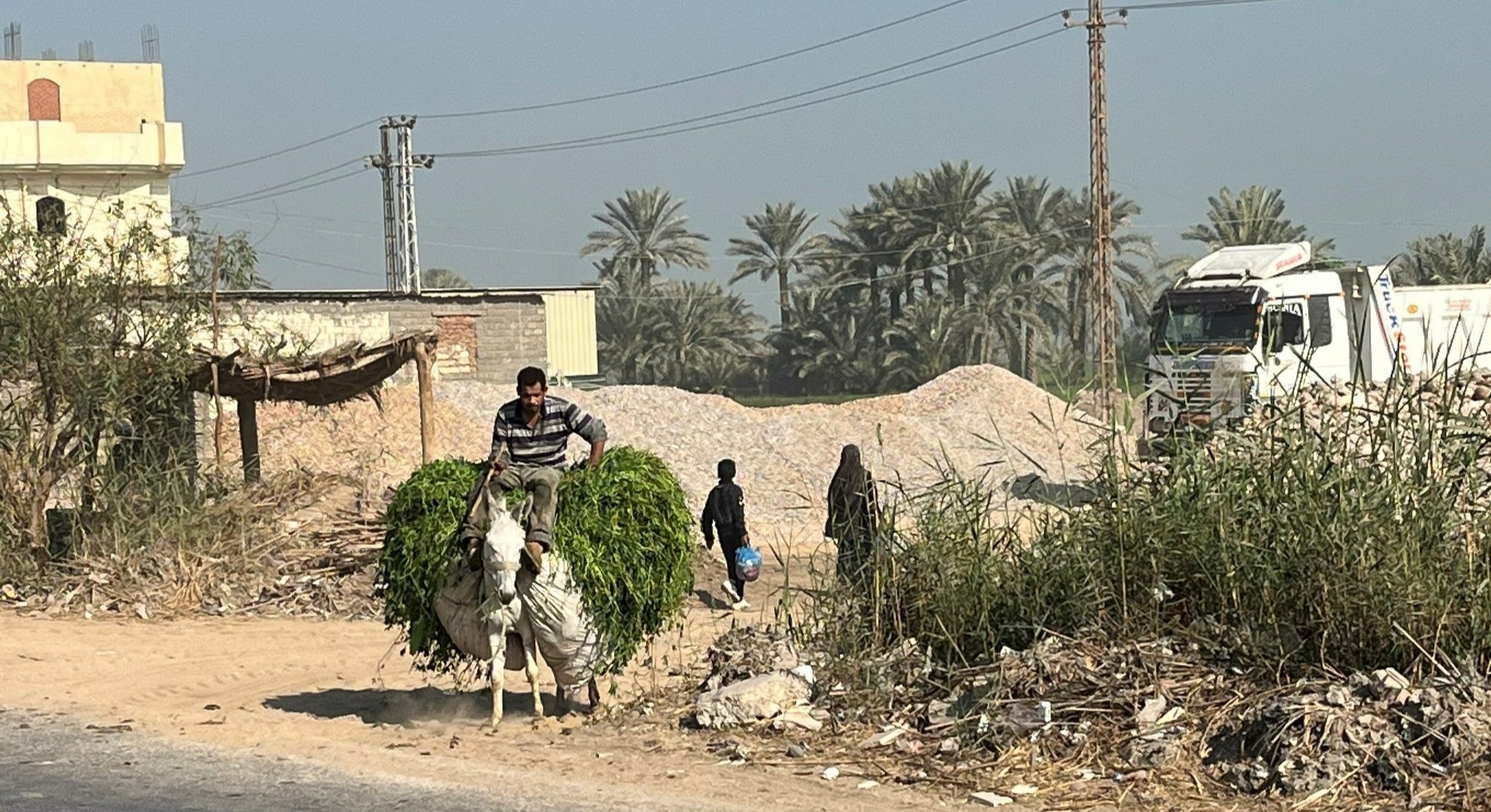  Fayoum is the very productive breadbasket of the desert country of Egypt, bringing life and sustenance, much as the churches we visited bring life in the hard, dry areas they serve. In both areas of life, hard work is required, and the Lord brings t
