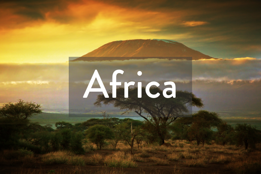 Africa Partnership Page Graphic (1).png