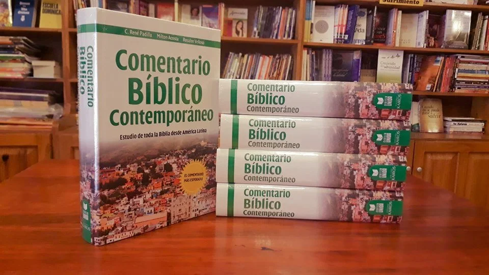 Bibles For New Christians