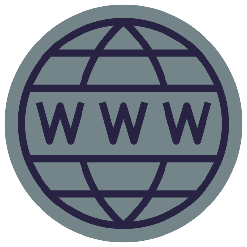Icon of a globe with a web browser 'WWW' across the middle, representing the internet or worldwide web.