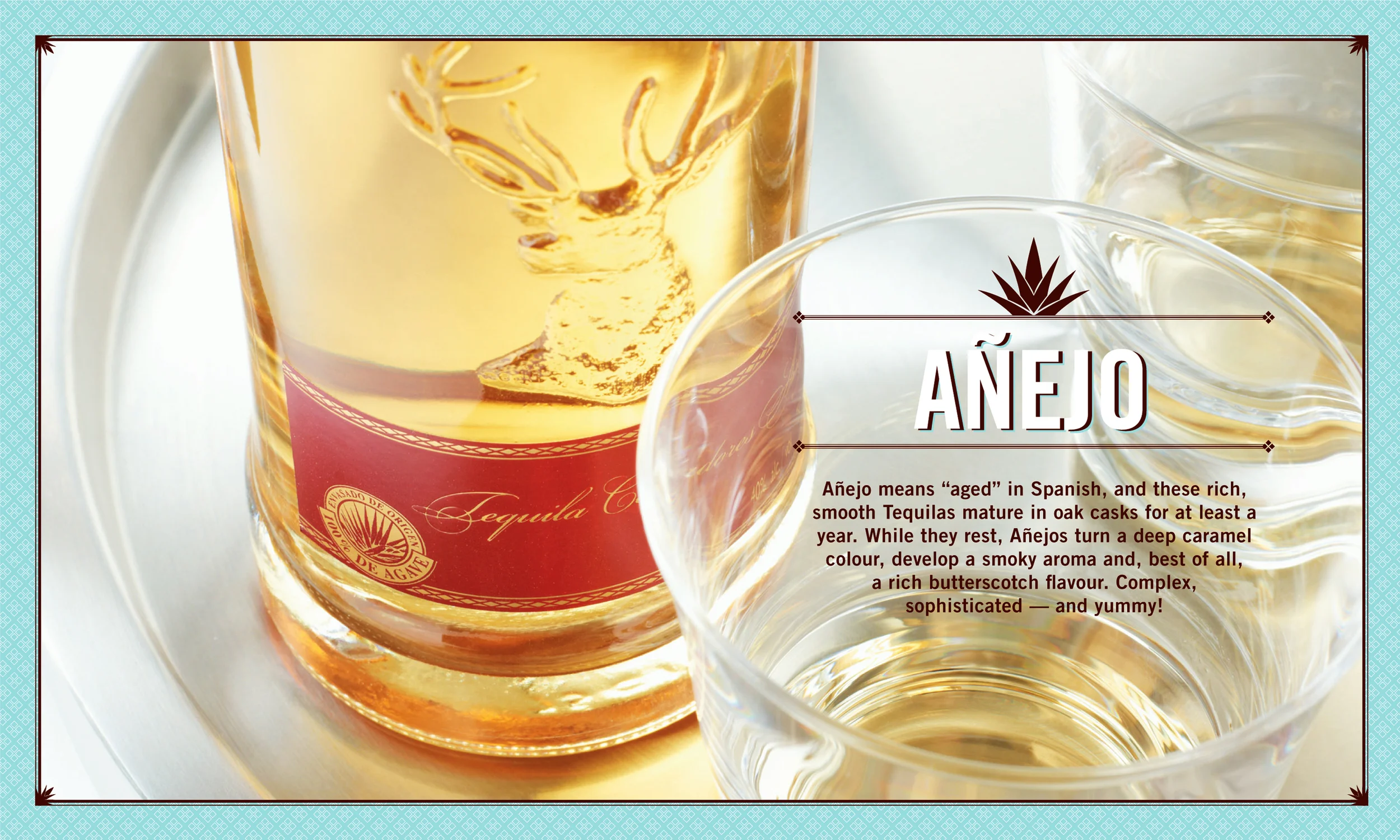 5b.P4_TequilaFSI_FINAL-13.jpg