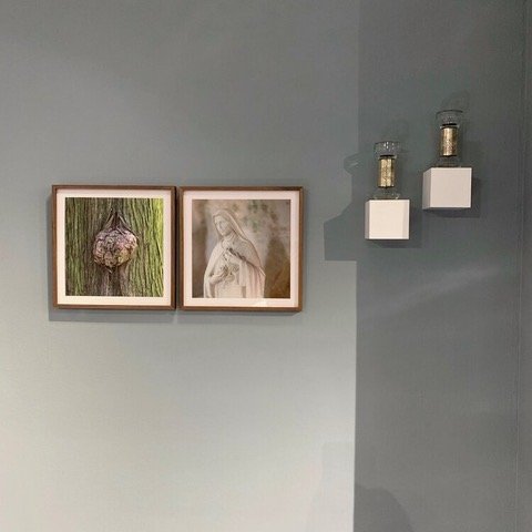 Be Rose || Alliance Française, New York