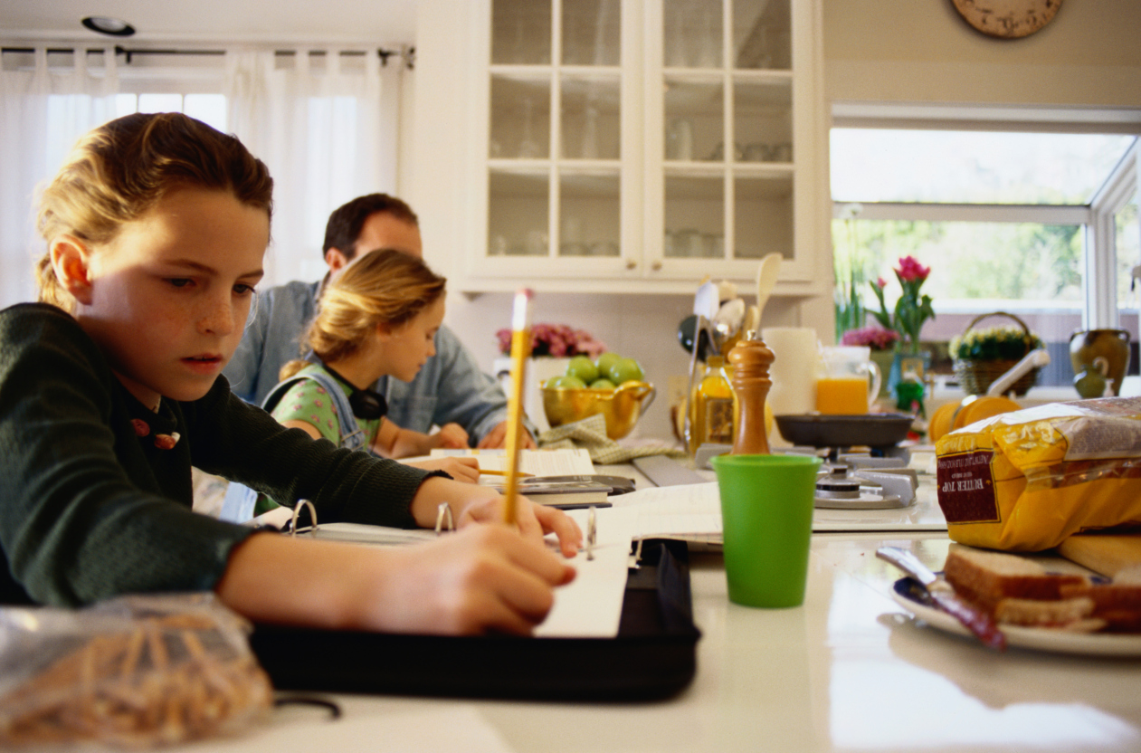 Homework CAN be a cozy time for everyone to do their work . . . . 