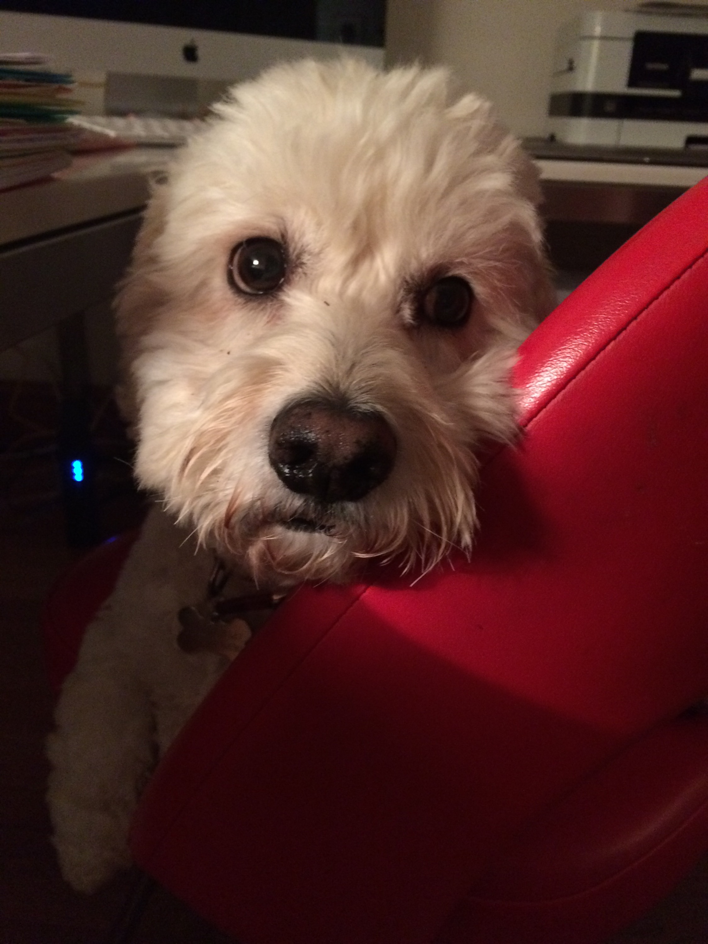 Bentley is taking a minute to review his year. . . . 