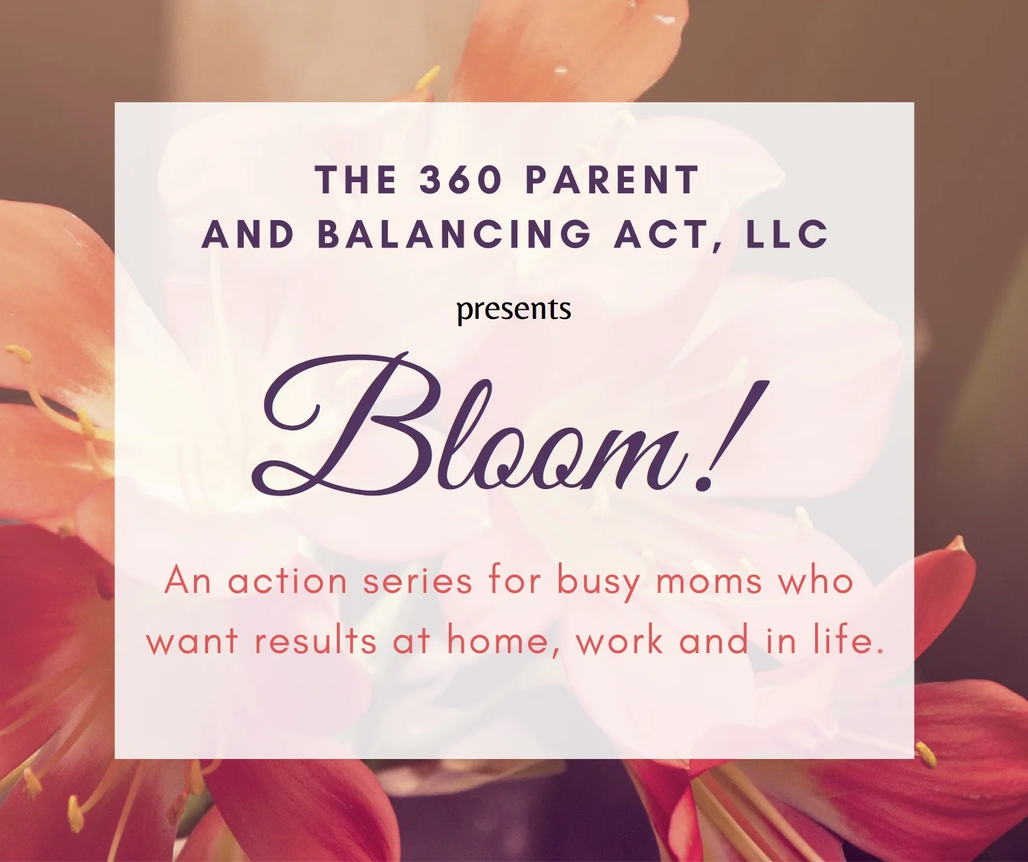 Bloom!.jpg