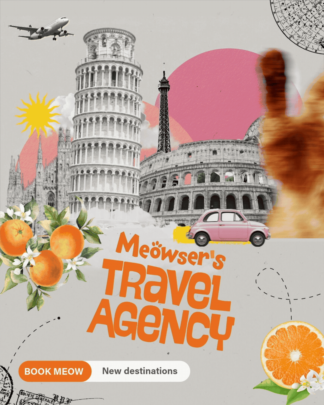 Express_Cat Templates_Design_4x5-33.gif