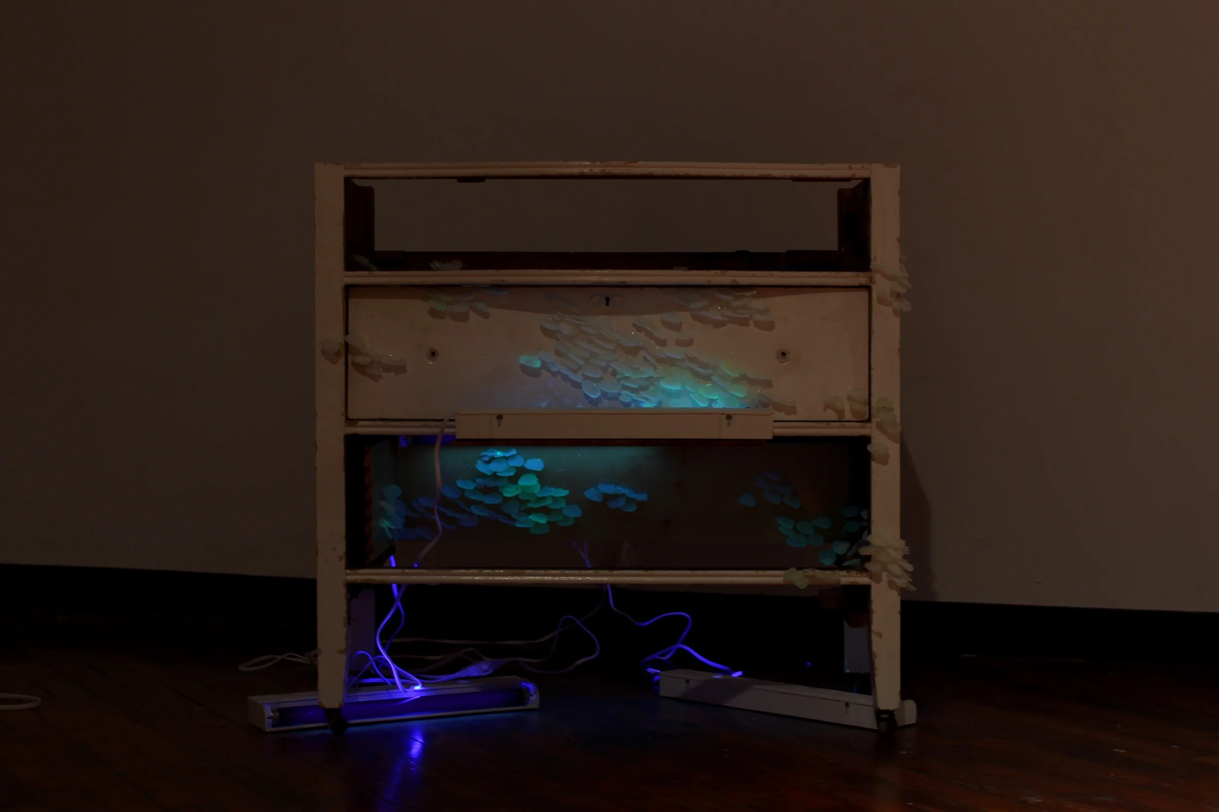 Synthetic Growth Box