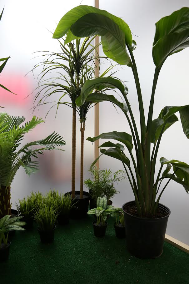 Botanical Shrine (Interior View)
