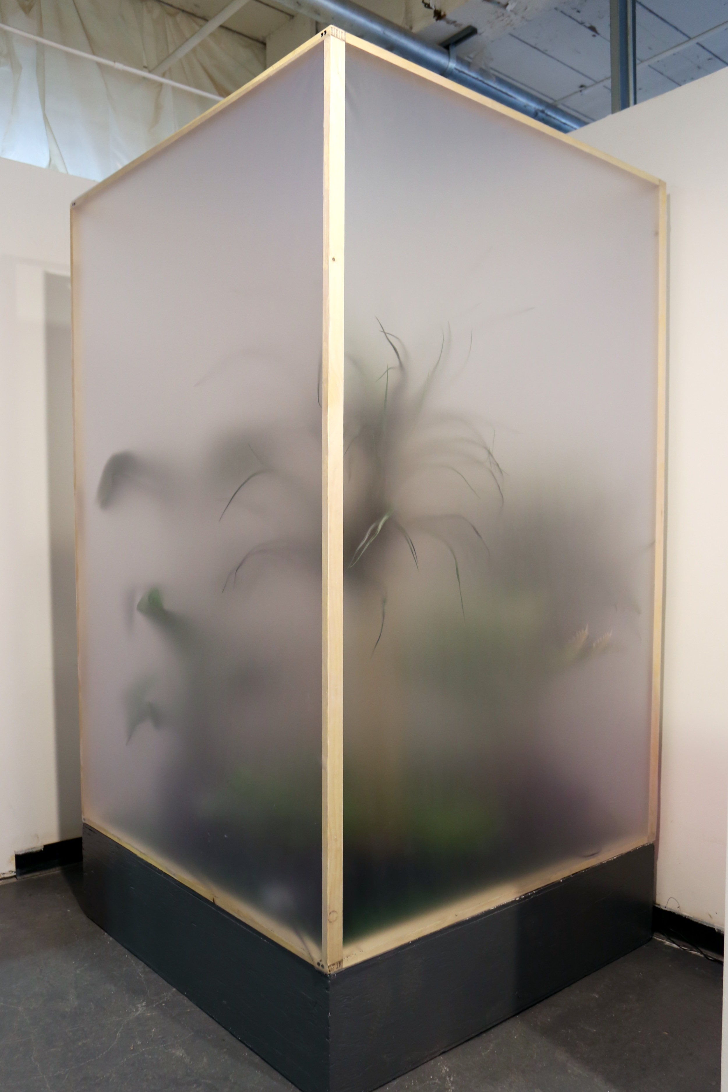 Botanical Shrine (Studio Installation View)