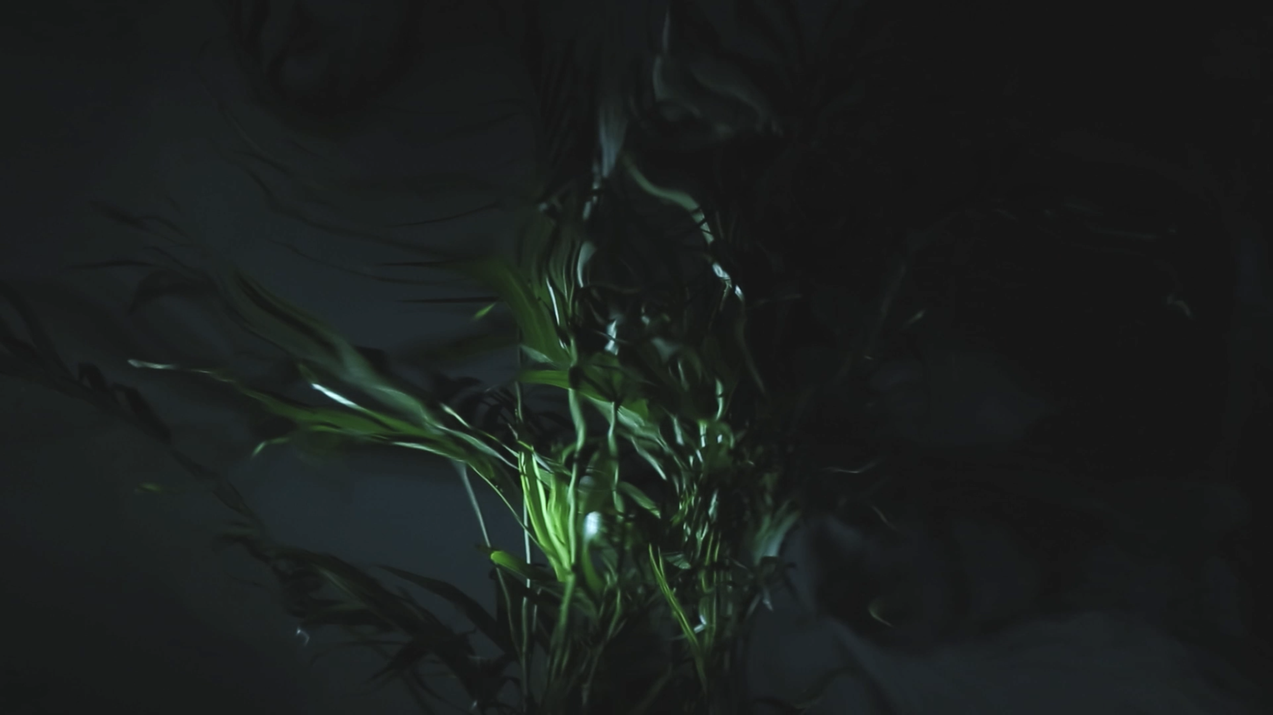 Image_4_What's at Stake.jpg