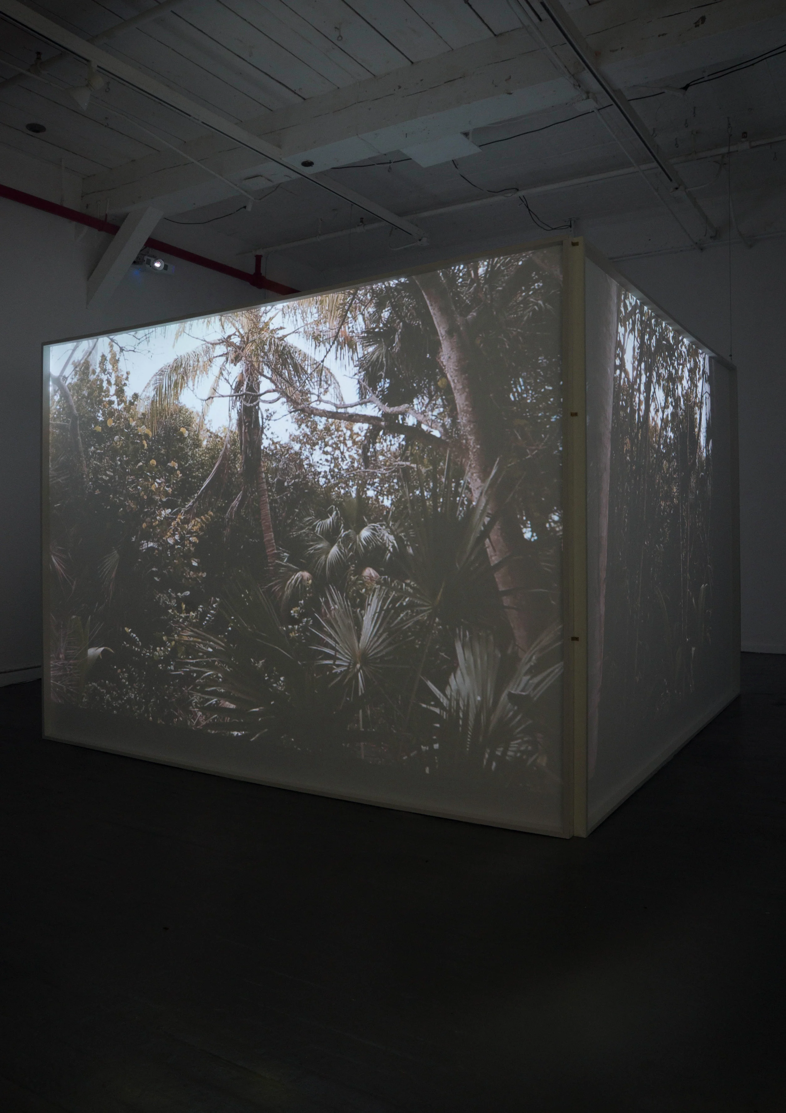 pinkish noise 2017 high-definition three-channel video, color, sound on softscreen fabric panels with artificial scent 2:25 min. installation dimensions: 7 x 9 x 9 feet