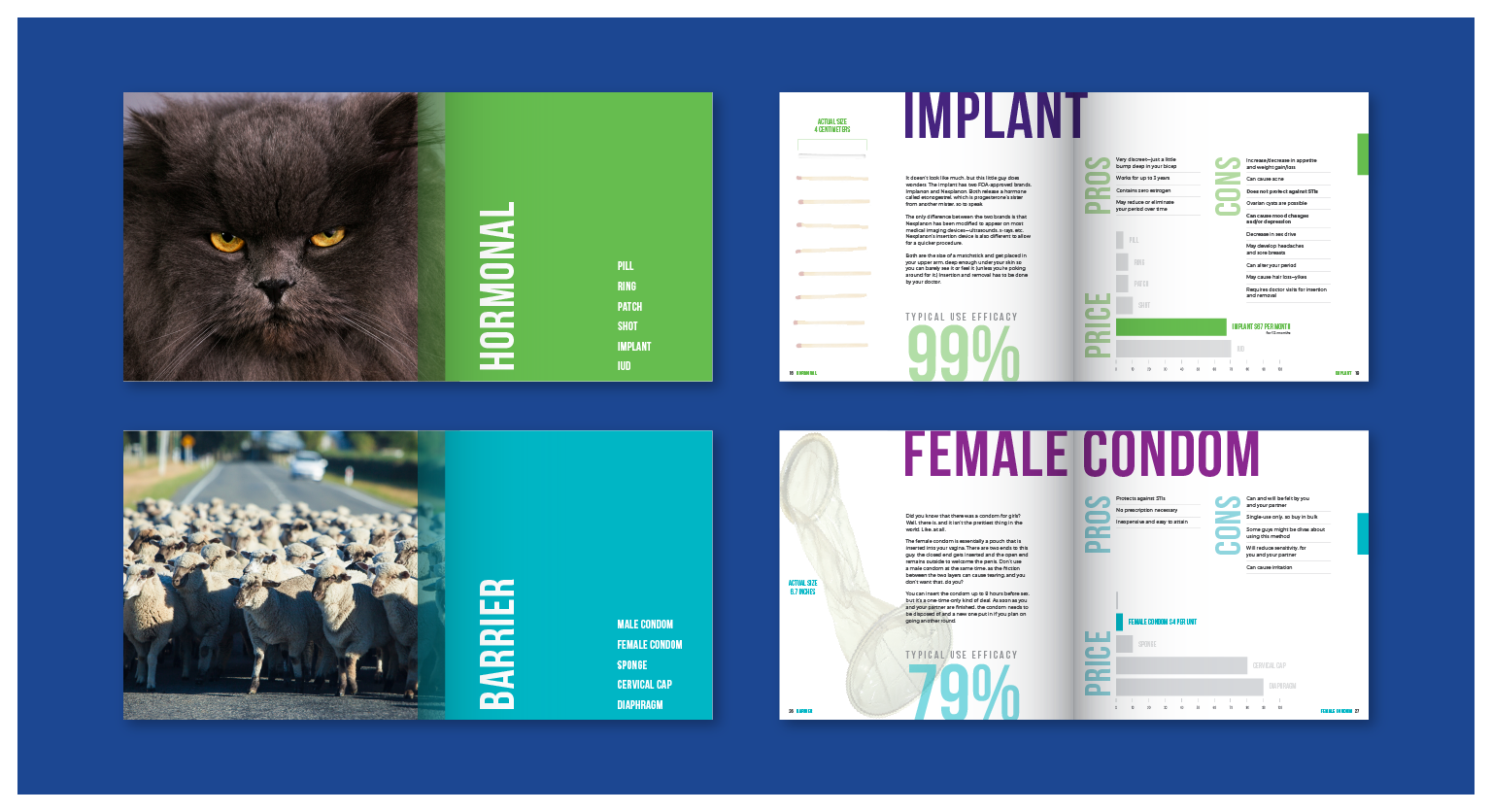 Assigning each section with a bright, jewel-tone color simplified navigation and association. It also helped create hierarchy within the infographic-style spreads.