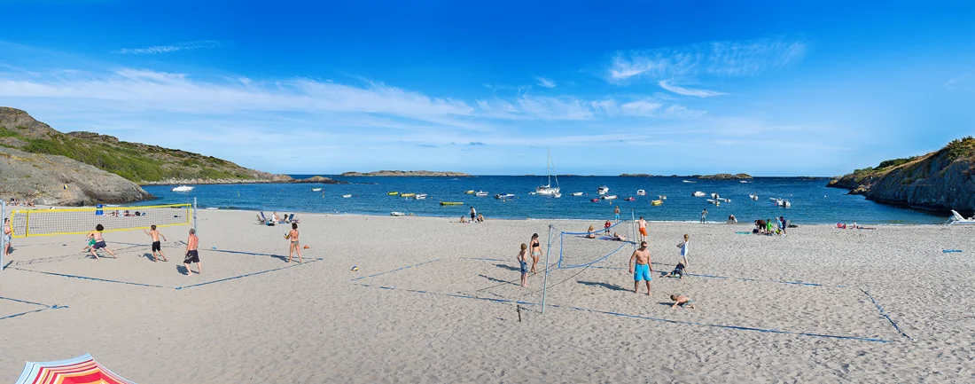 Volleyball-1100.jpg