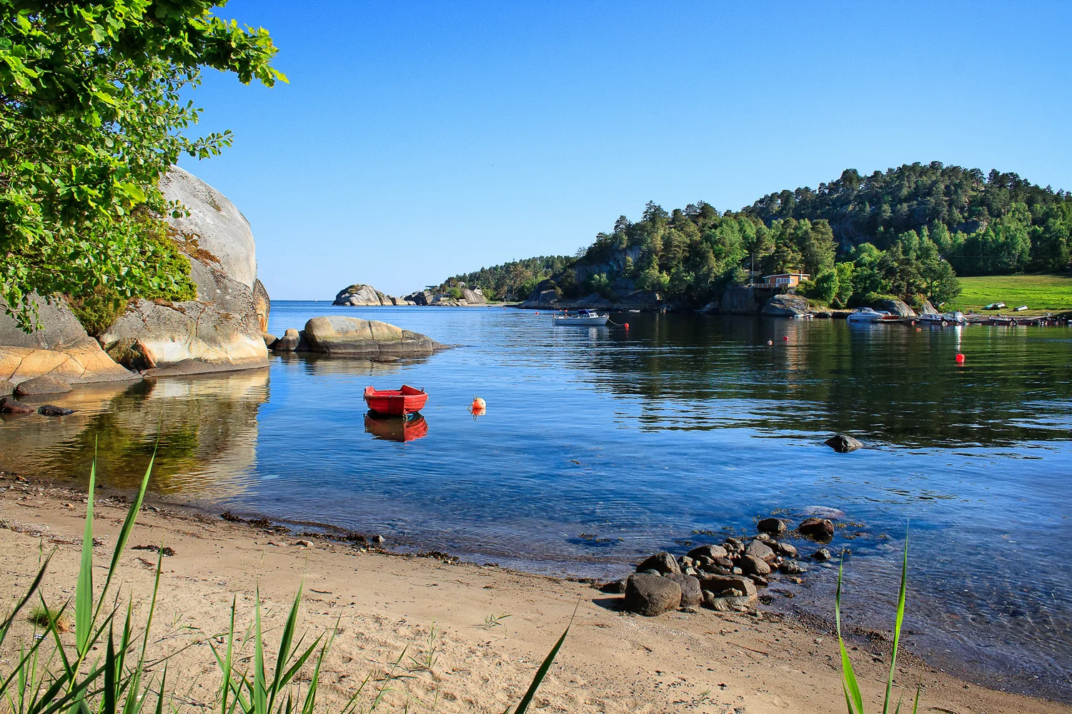 Håkavika