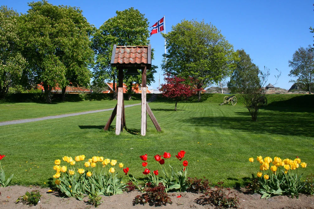 stavern download (1).jpeg