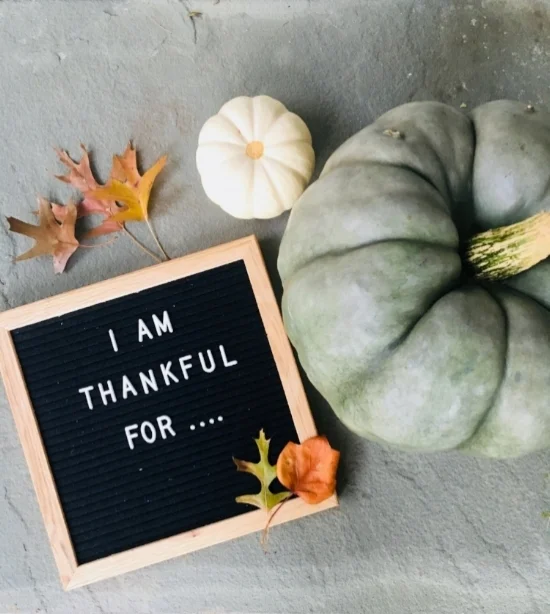 Rachel Rosenthal - Thanksgiving - www.rachelrosenthal.co.jpg