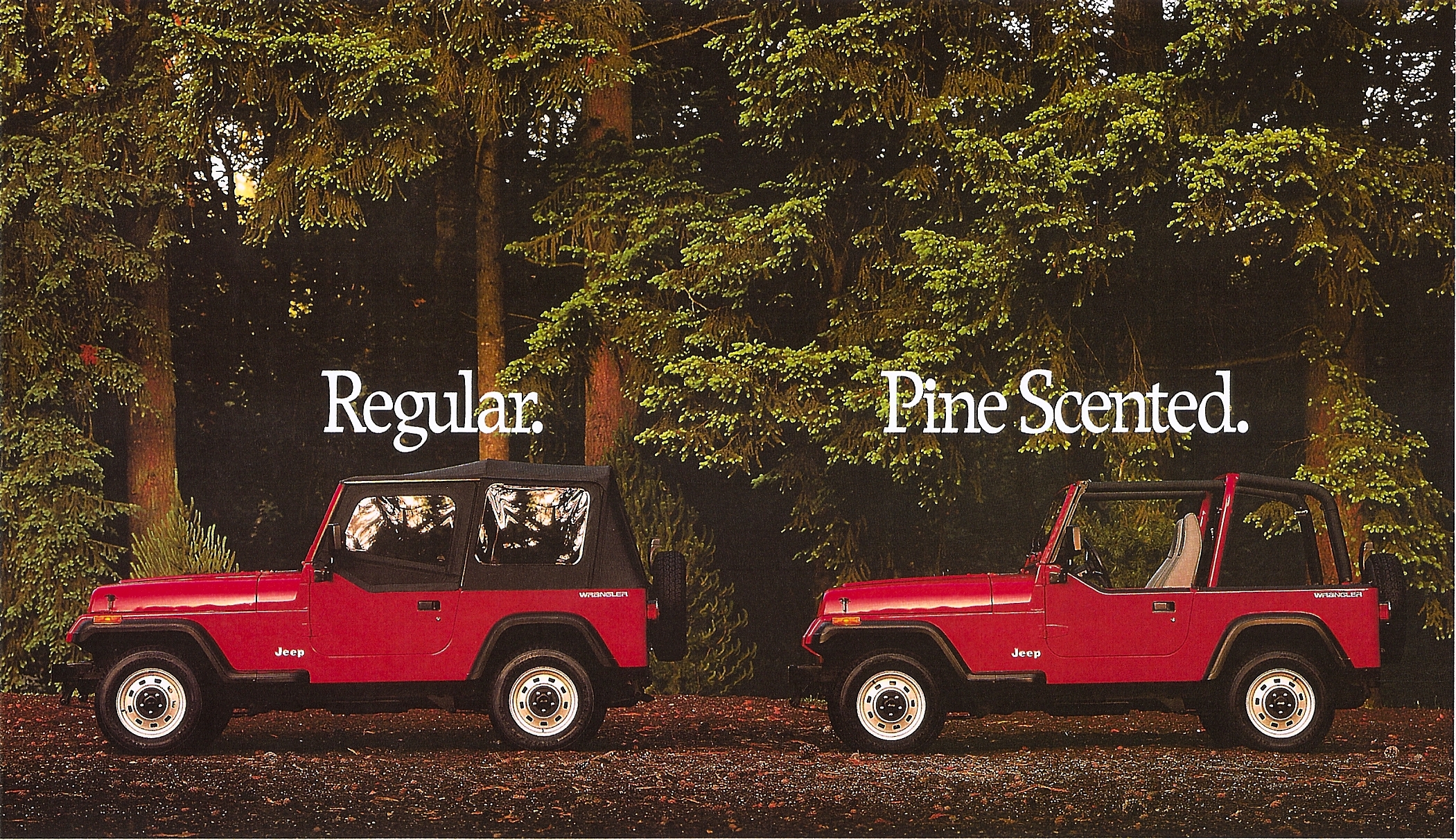 Pine v2.jpg