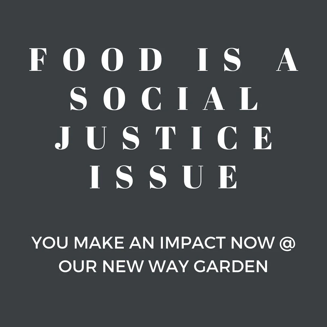 June 2020 newsletter