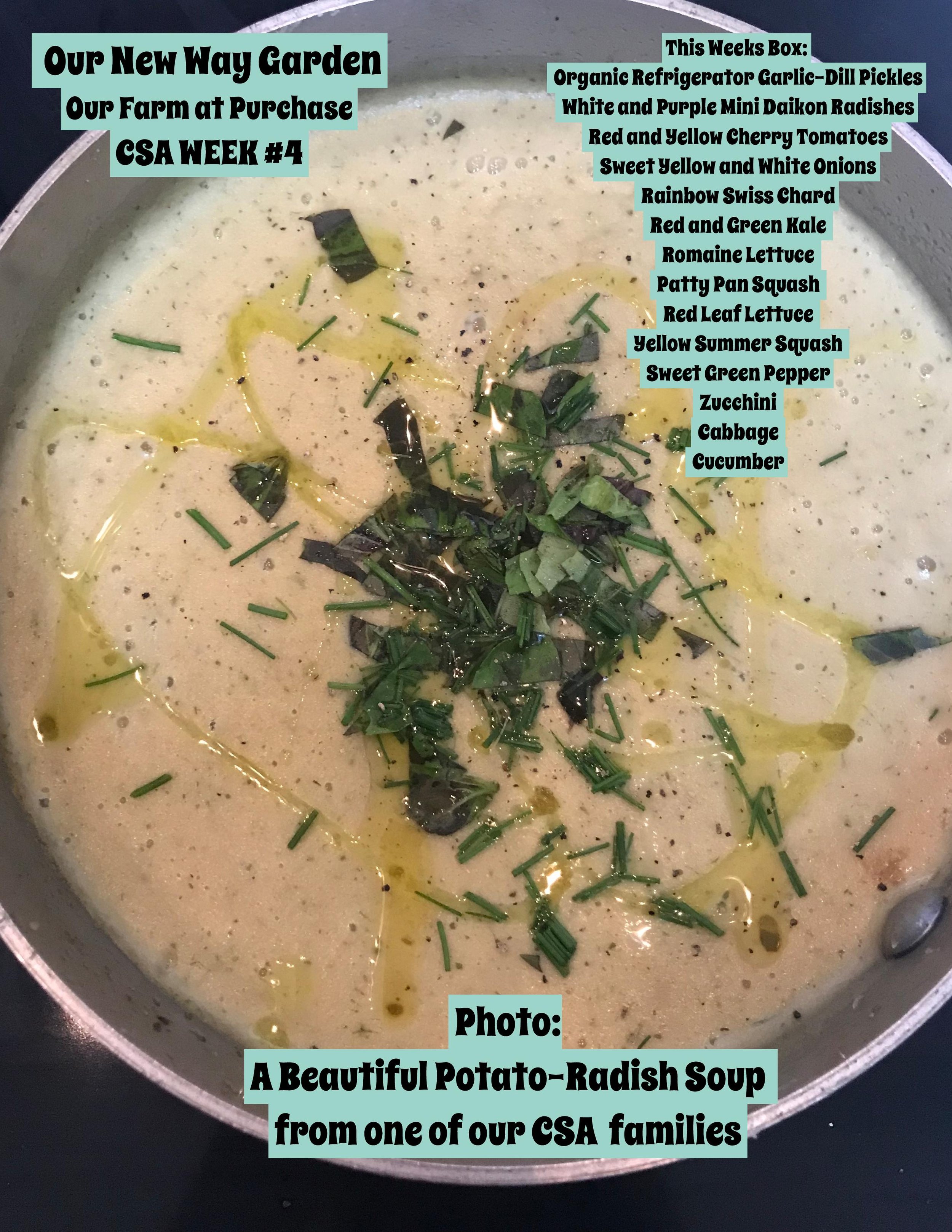 CSA 2021 week 4-page-001.jpg