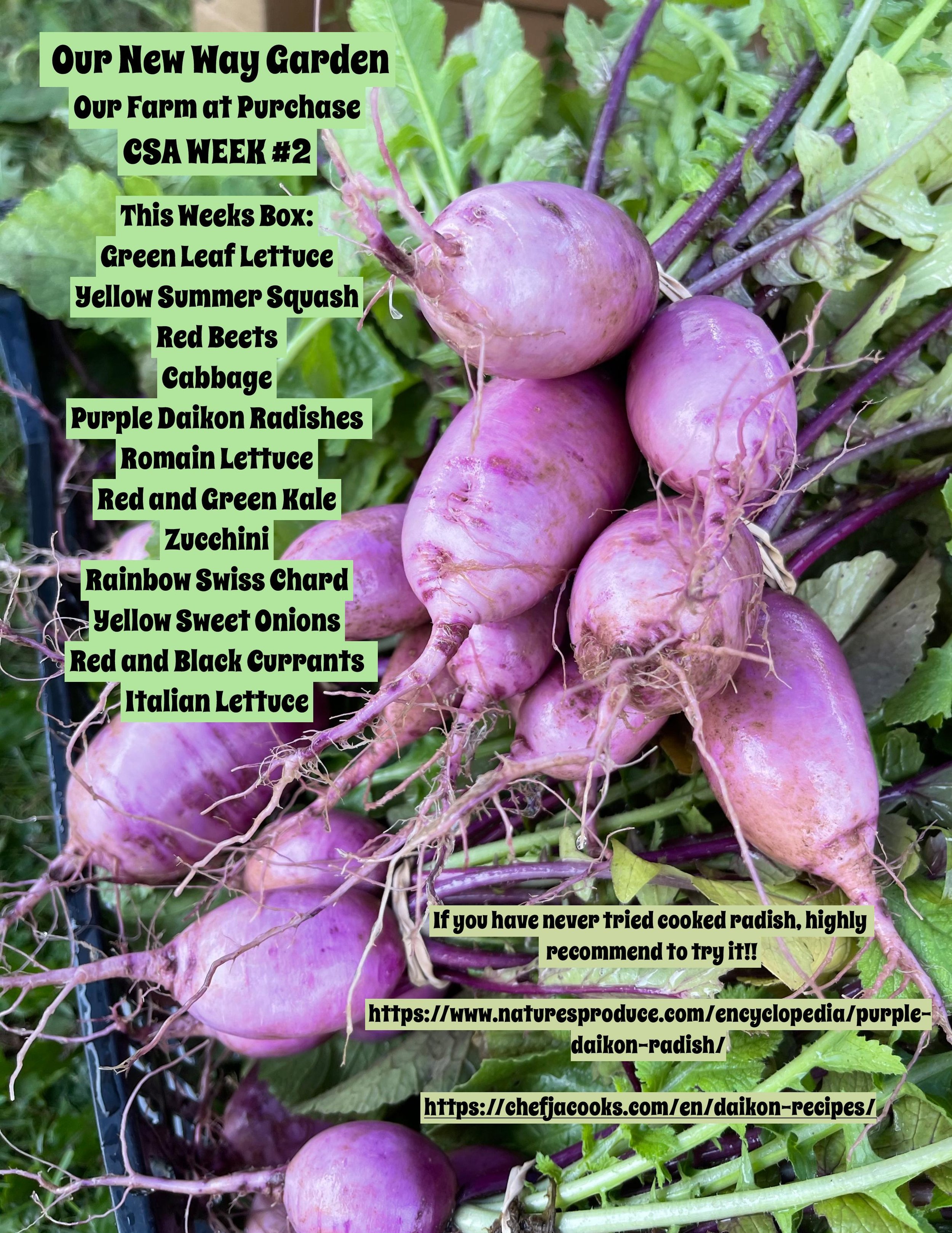 CSA 2021 Week 2-page-001.jpg