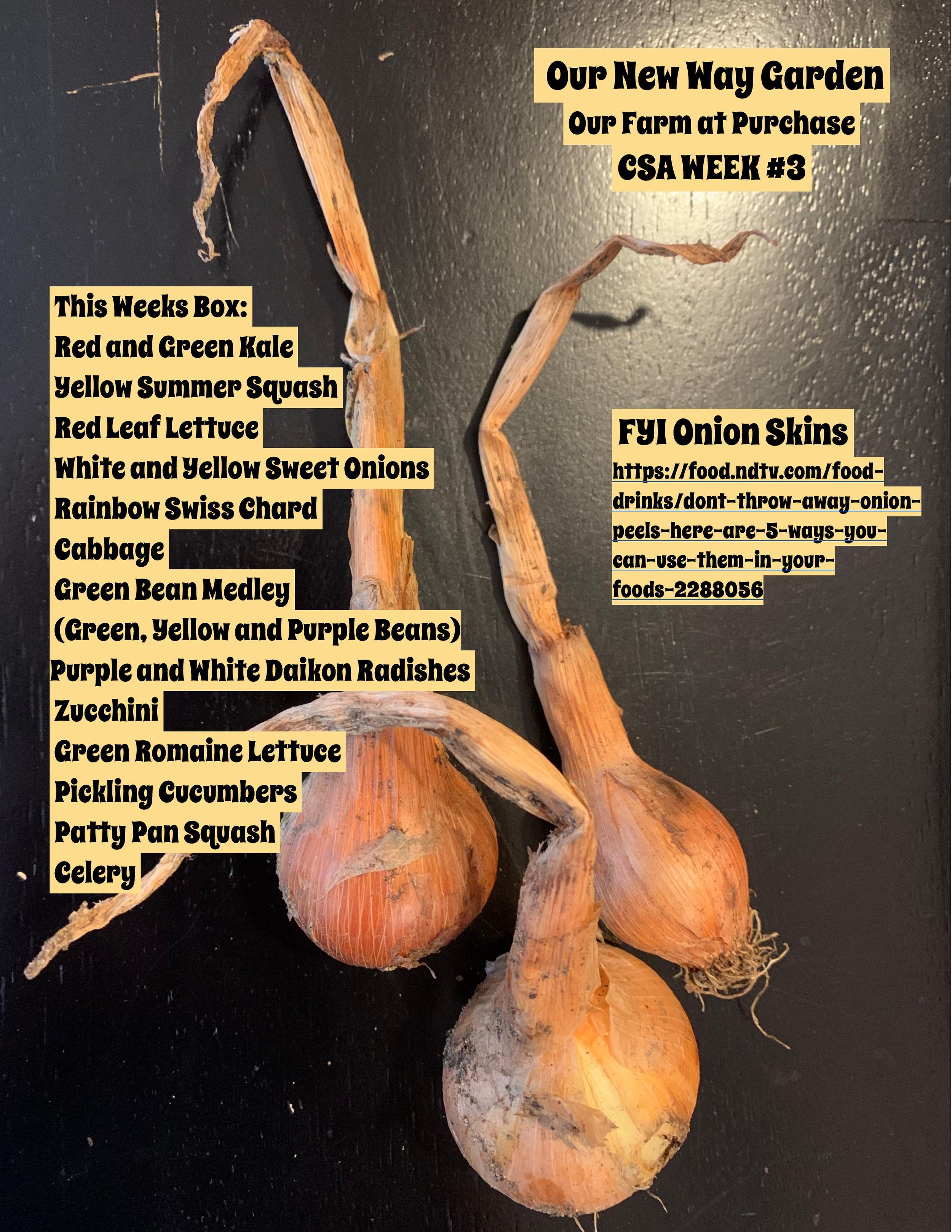 CSA flyer week #3 2021-page-001.jpg