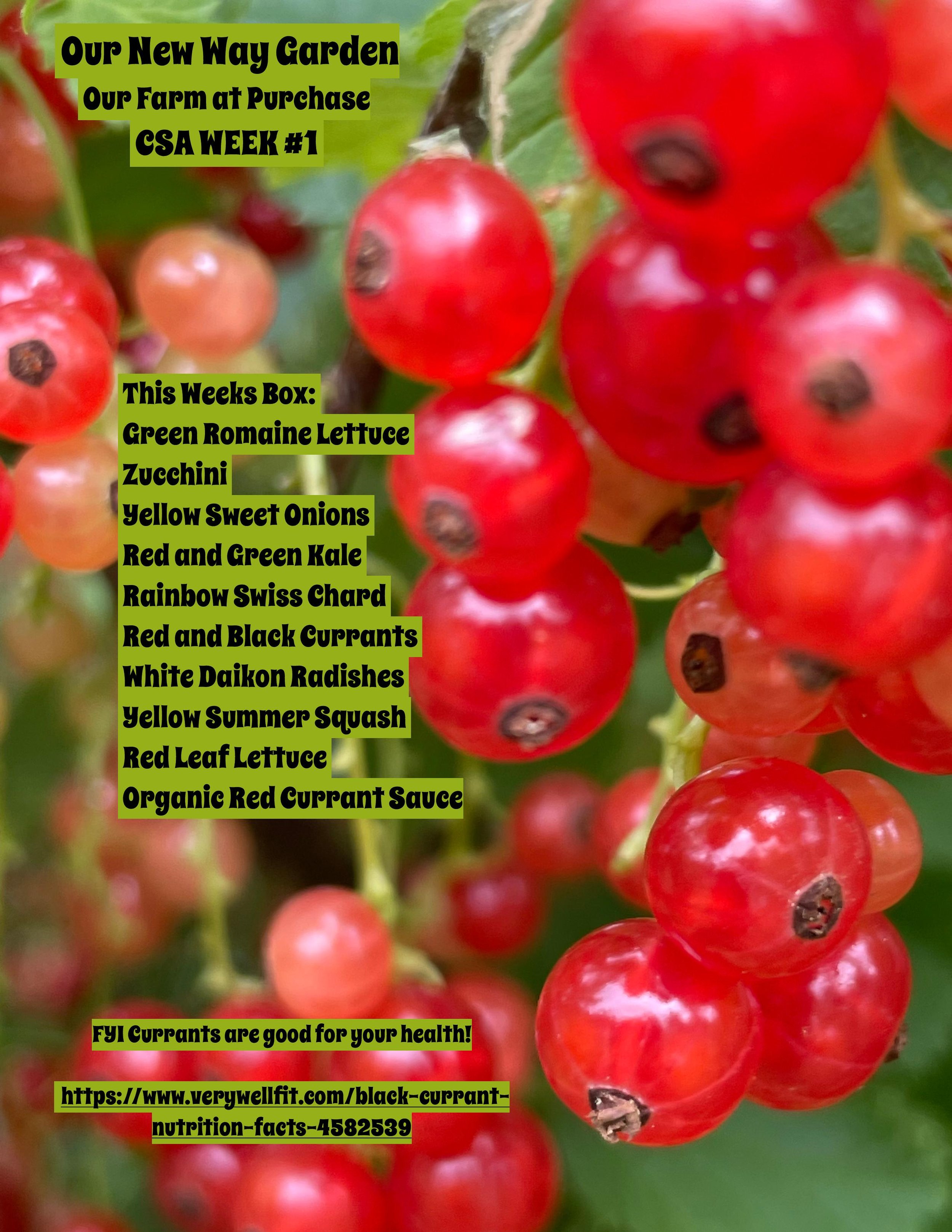 CSA PDF 2021 Week 1-page-001.jpg