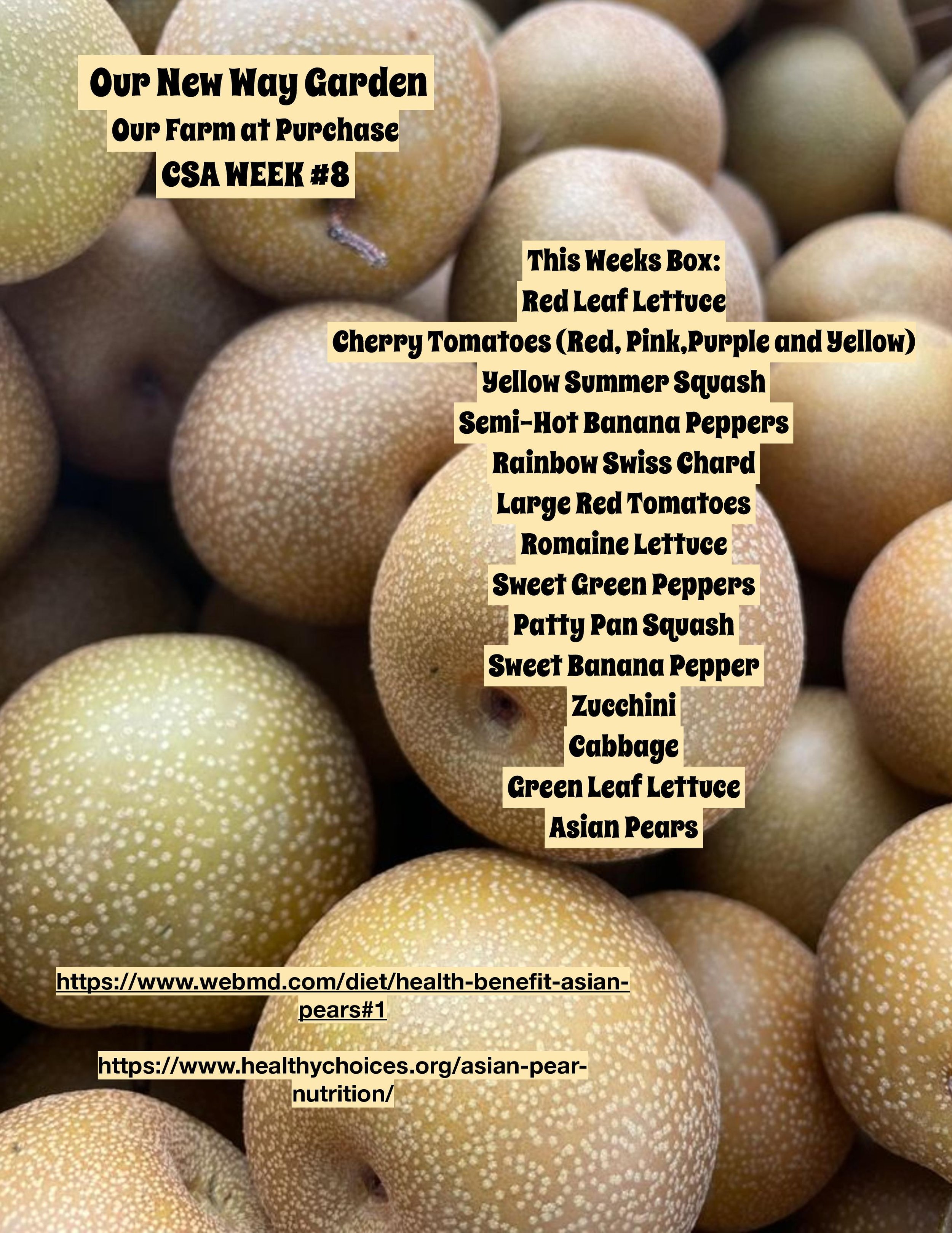 CSA 2020PDF ONWG week8 -page-001.jpg