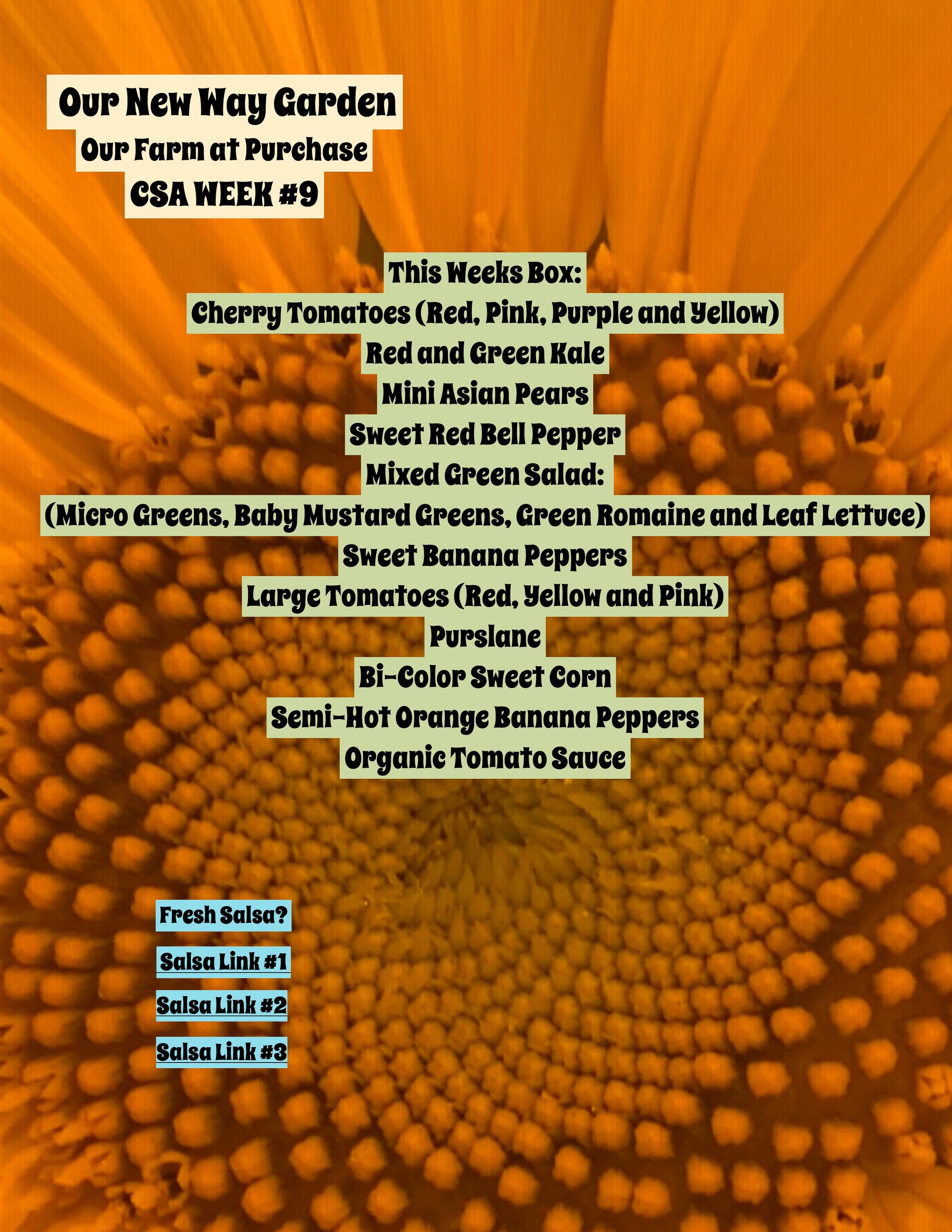 CSA 2021PDF ONWG week 9-page-001.jpg