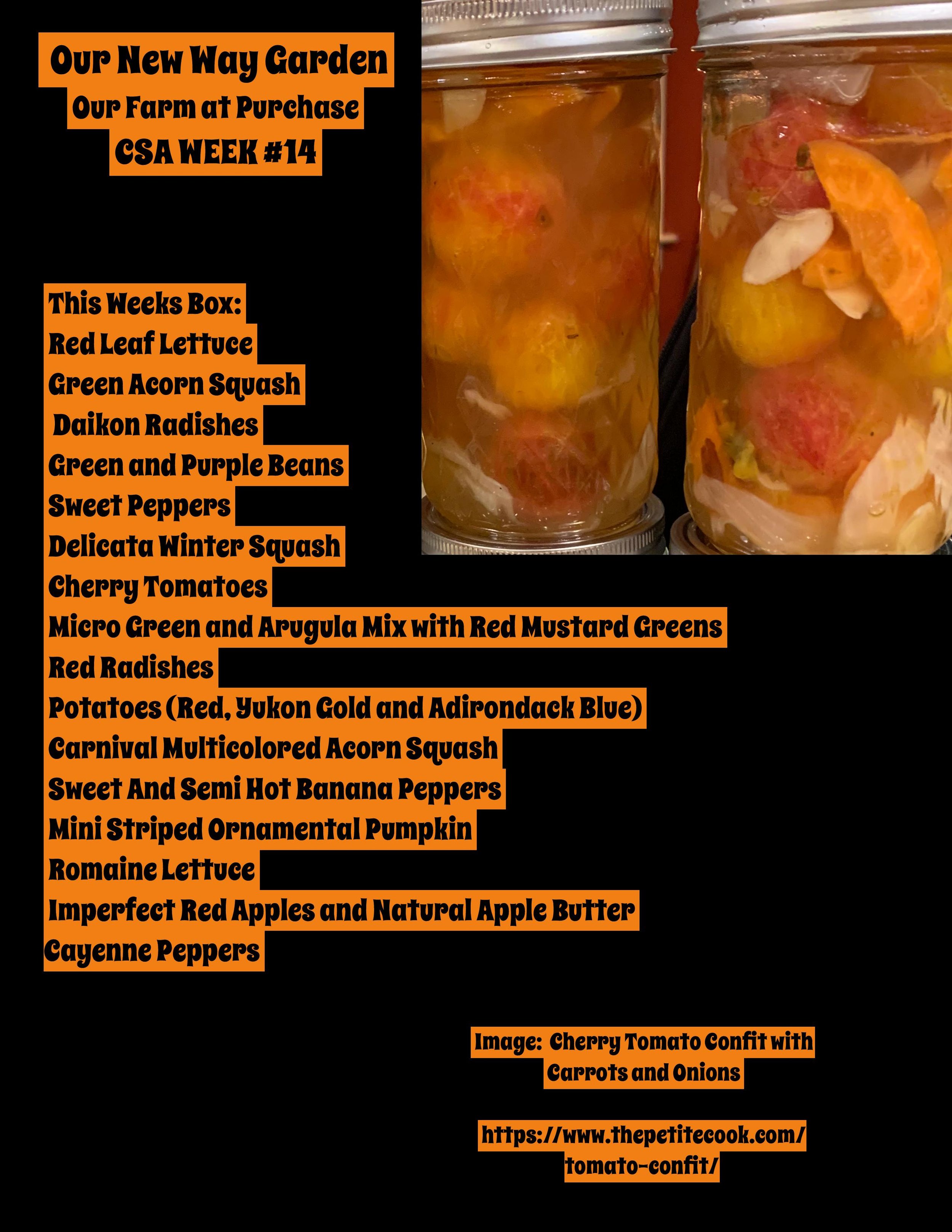 CSA 2021PDF ONWG week 14-page-001.jpg