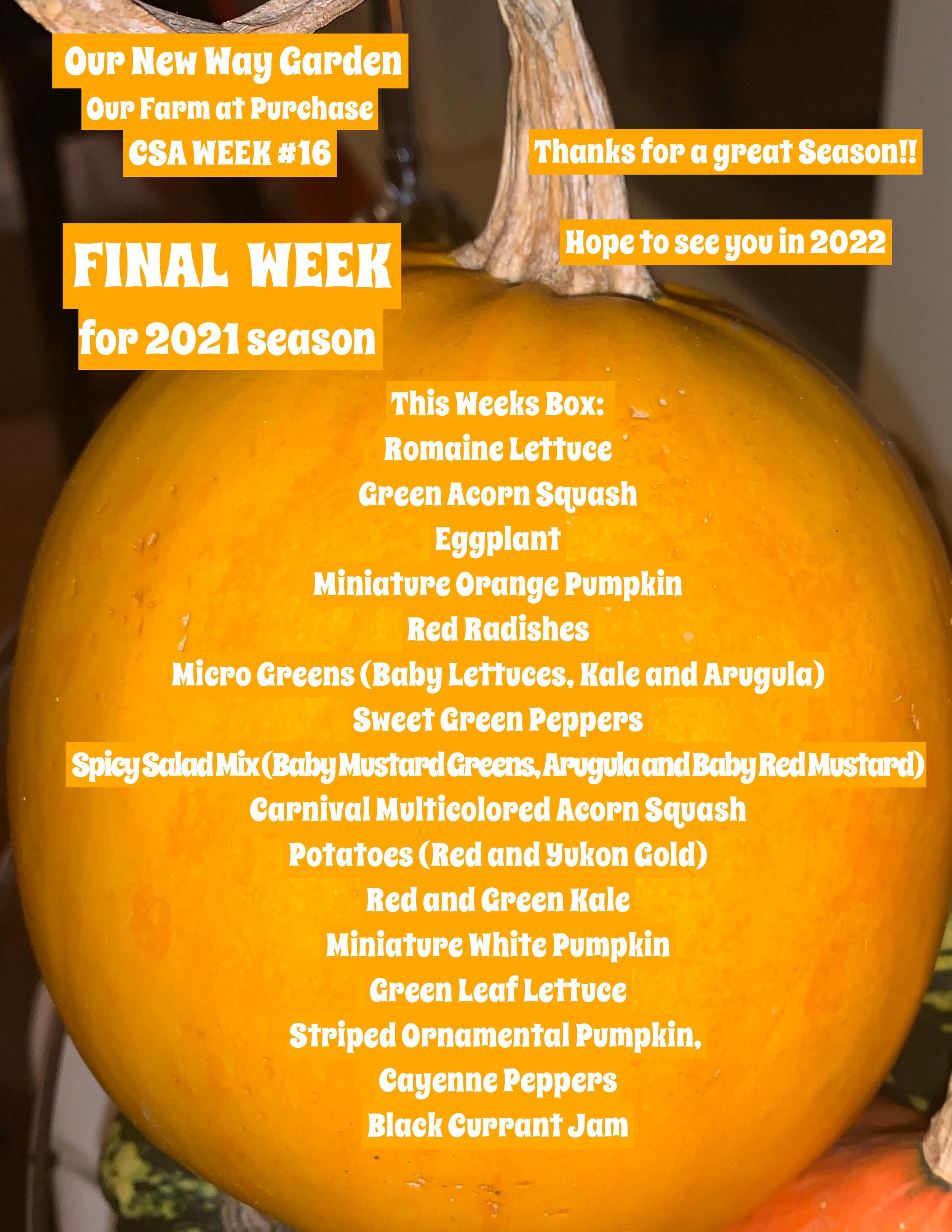 CSA 2021PDF ONWG week 16-page-001.jpg
