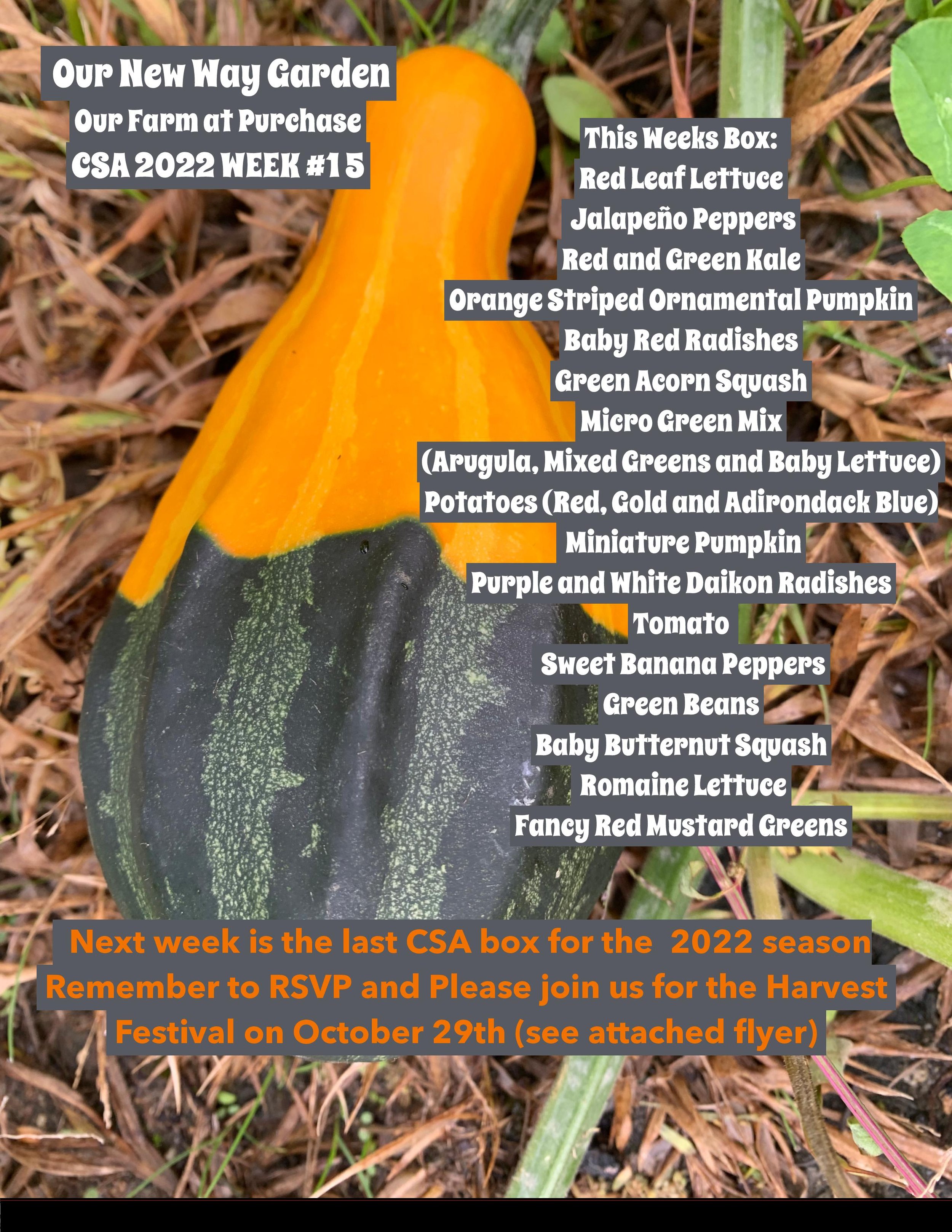 CSA PDF week 15-page-001.jpg